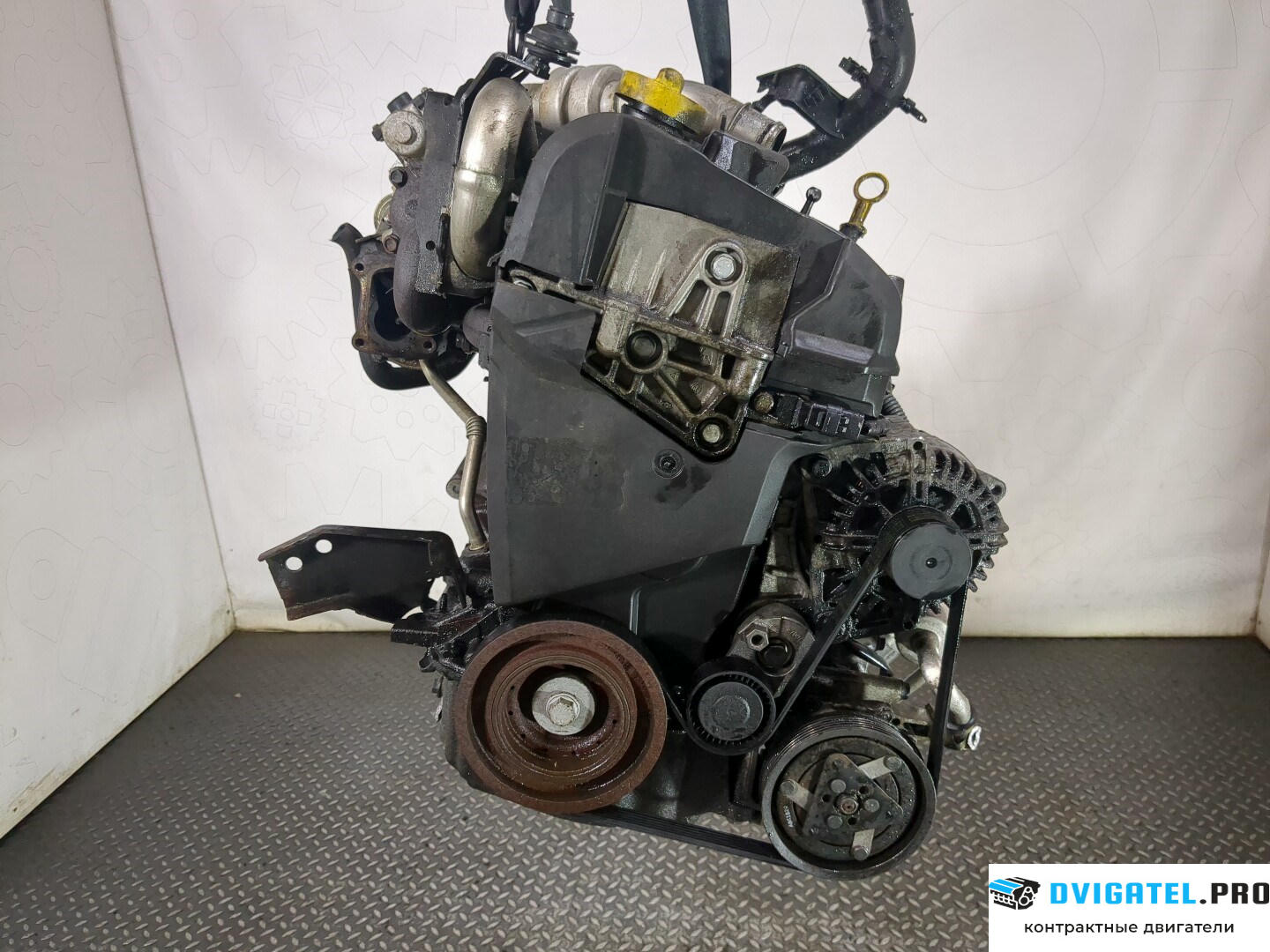 Двигатель Nissan Micra K12E 2003 - 2010 K9K 1.5 л., Дизель, DCI, артикул 8543143