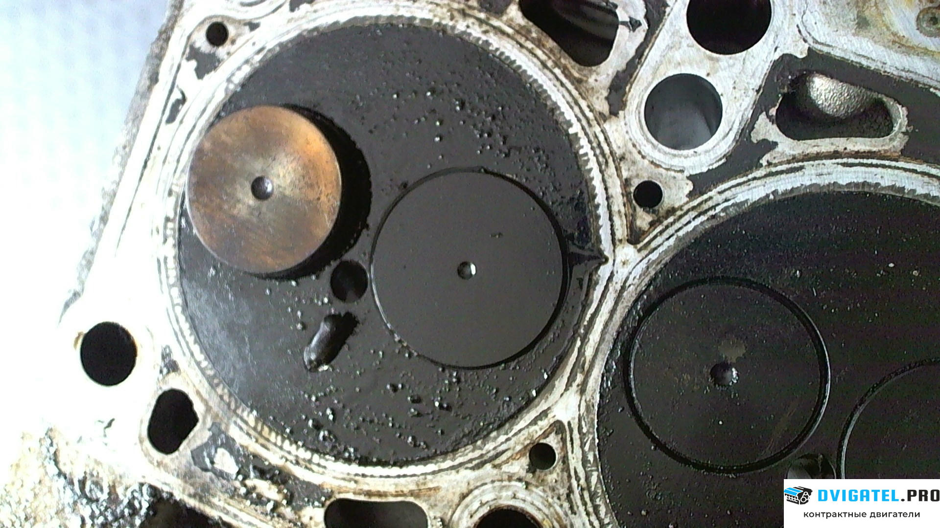 Головка блока цилиндров (ГБЦ) Volkswagen Touareg 2002 - 2007 AYH 5 л., Дизель, артикул 7767172