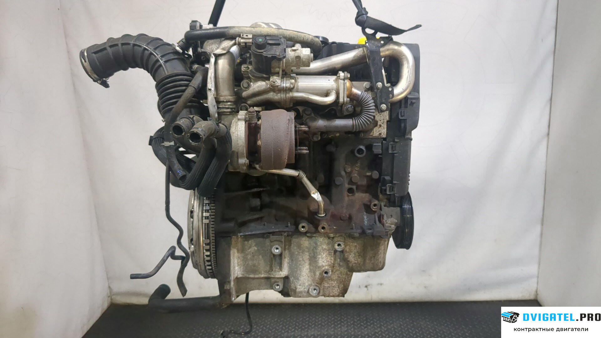 Двигатель Nissan Qashqai 2006 - 2013 K9K 1.5 л., Дизель, DCI, артикул 9278970