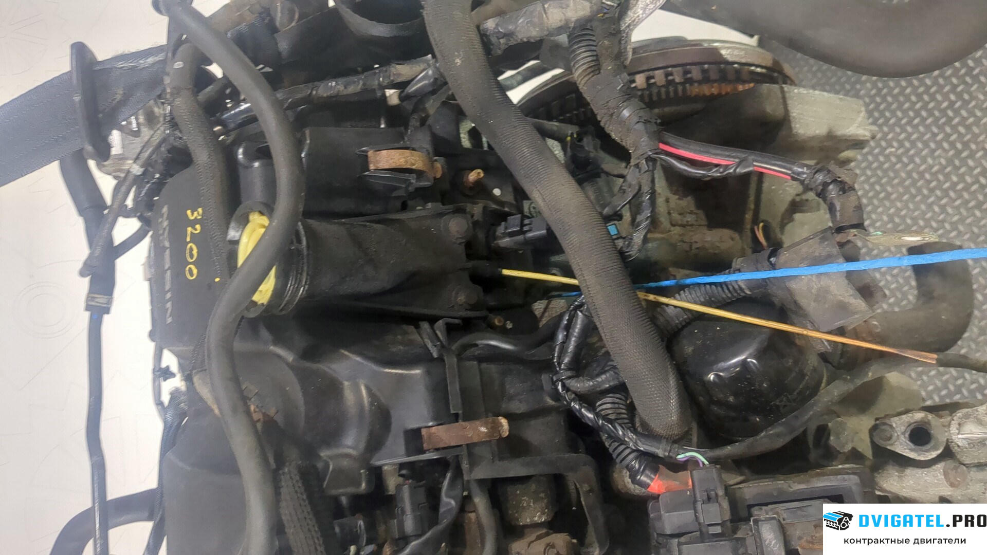 Двигатель Nissan Juke 2010 - 2014 K9K 1.5 л., Дизель, DCI, артикул 8996513
