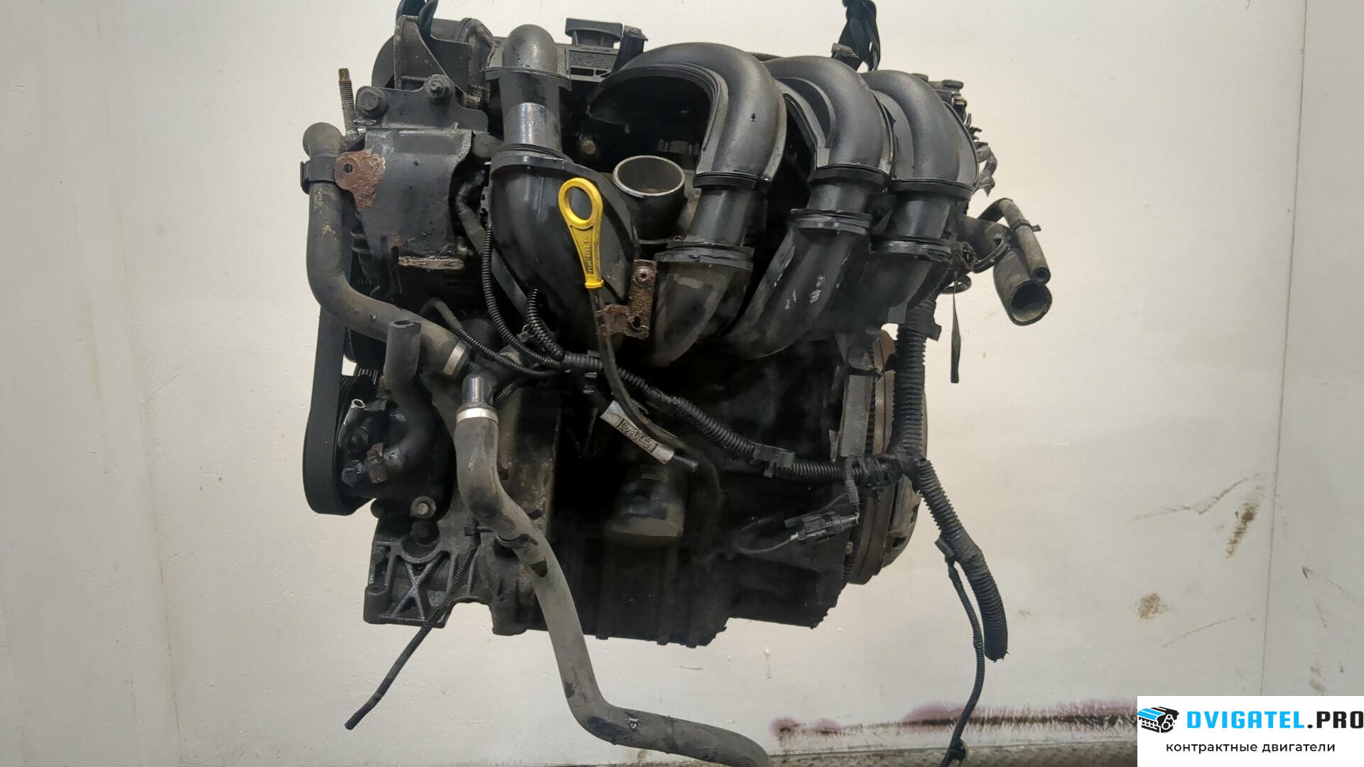 Двигатель Ford Focus 2 2005 - 2008 HWDA, HWDB 1.6 л., Бензин, Инжектор, артикул 9284868