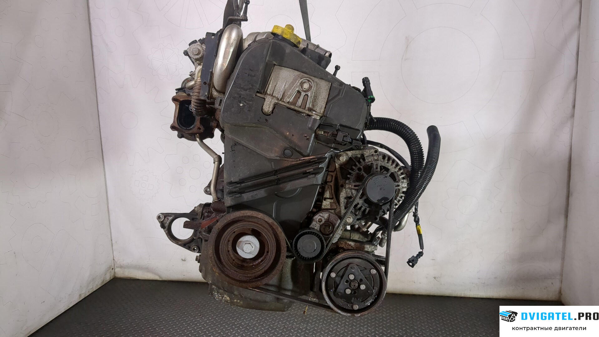Двигатель Nissan Note E11 2006 - 2013 K9K 1.5 л., Дизель, DCI, артикул 8870318