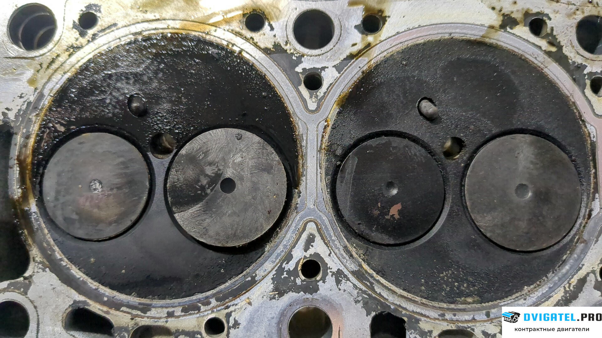 Головка блока цилиндров (ГБЦ) Renault Scenic 1996 - 2002 F9Q 732 1.9 л., Дизель, DCI, артикул 8958461