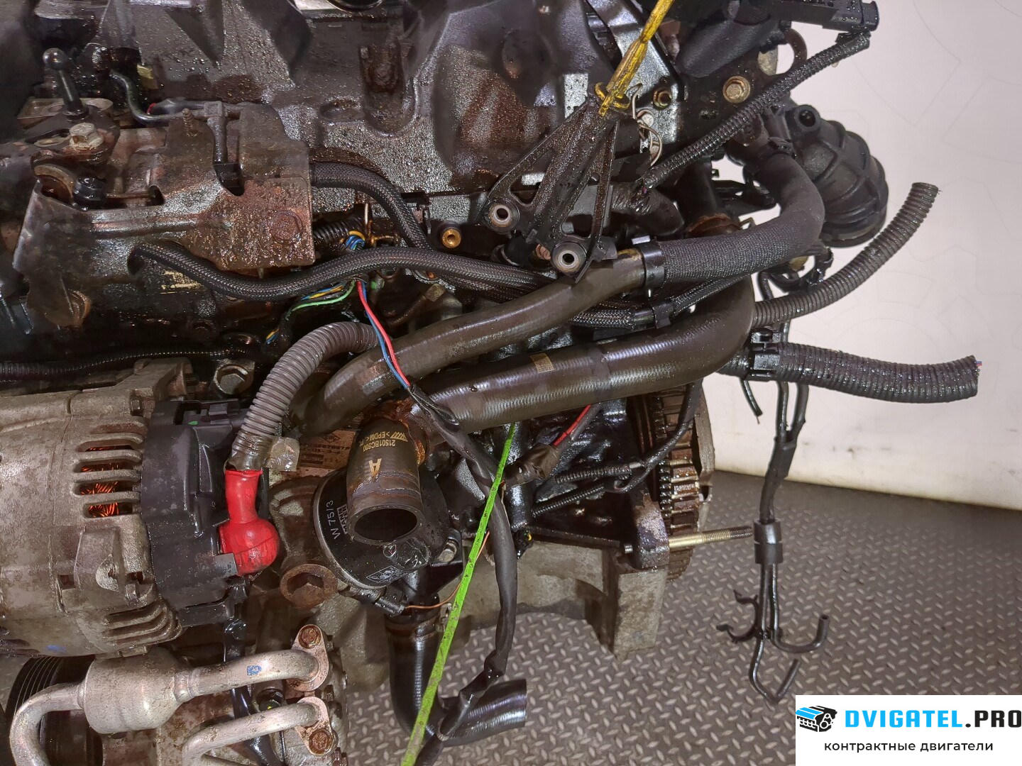 Двигатель Nissan Micra K12E 2003 - 2010 K9K 1.5 л., Дизель, DCI, артикул 8543143