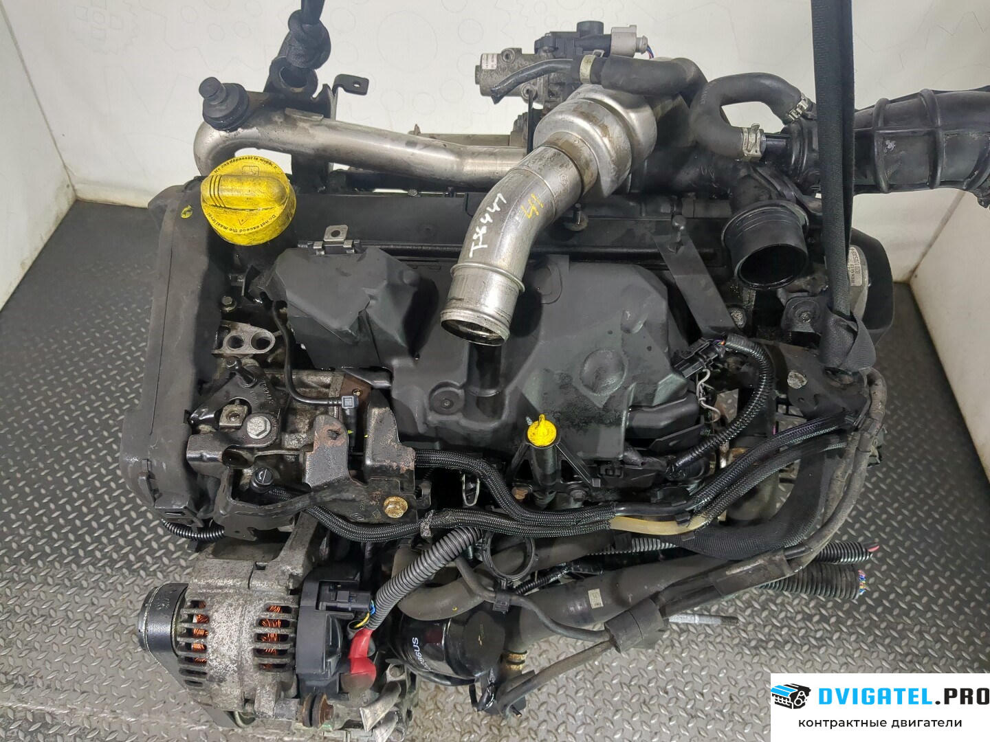 Двигатель Nissan Note E11 2006 - 2013 K9K 1.5 л., Дизель, DCI, артикул 8577093