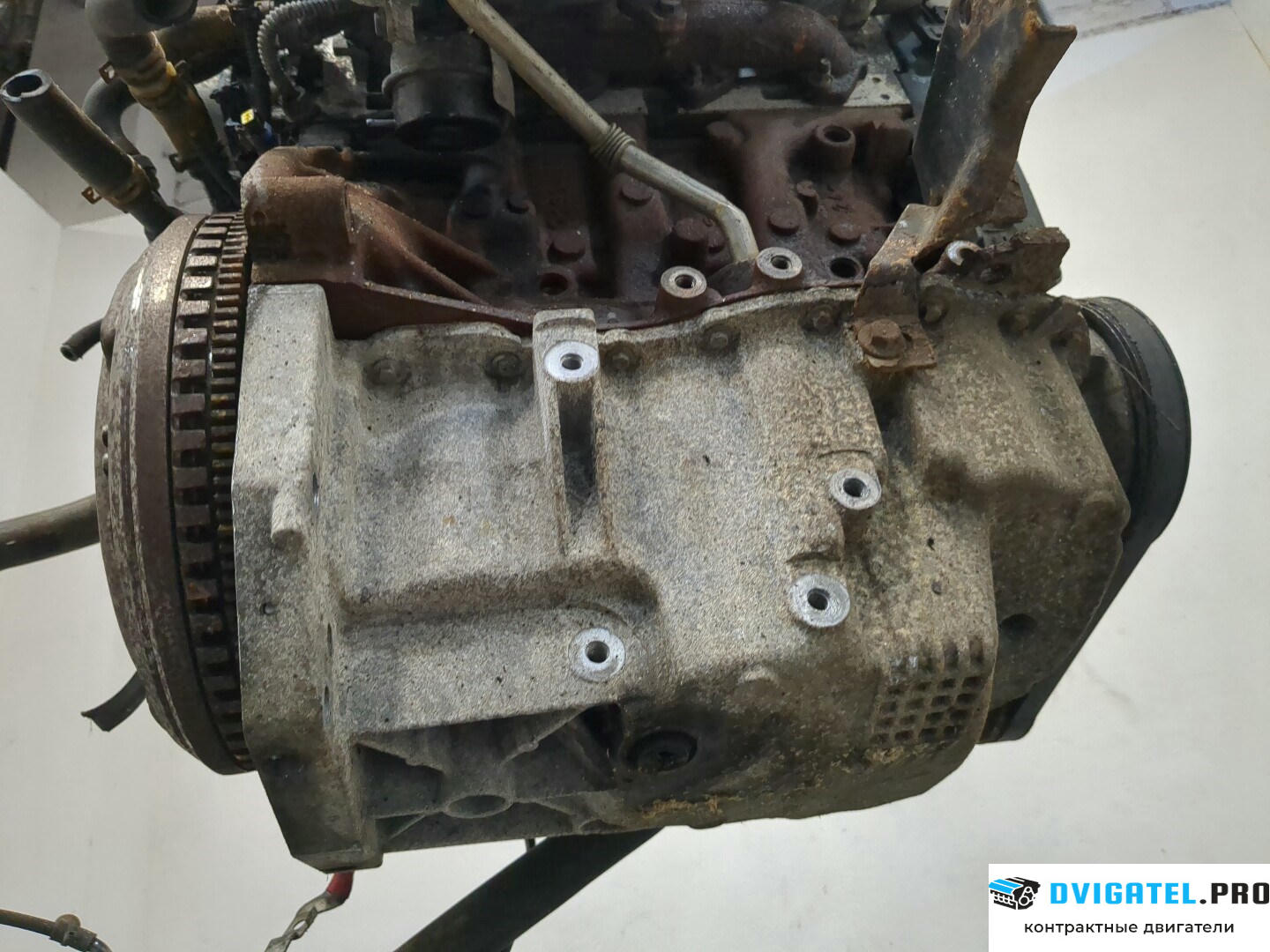 Двигатель Renault Scenic 2003 - 2009 K9K 732 1.5 л., Дизель, DCI, артикул 8648380