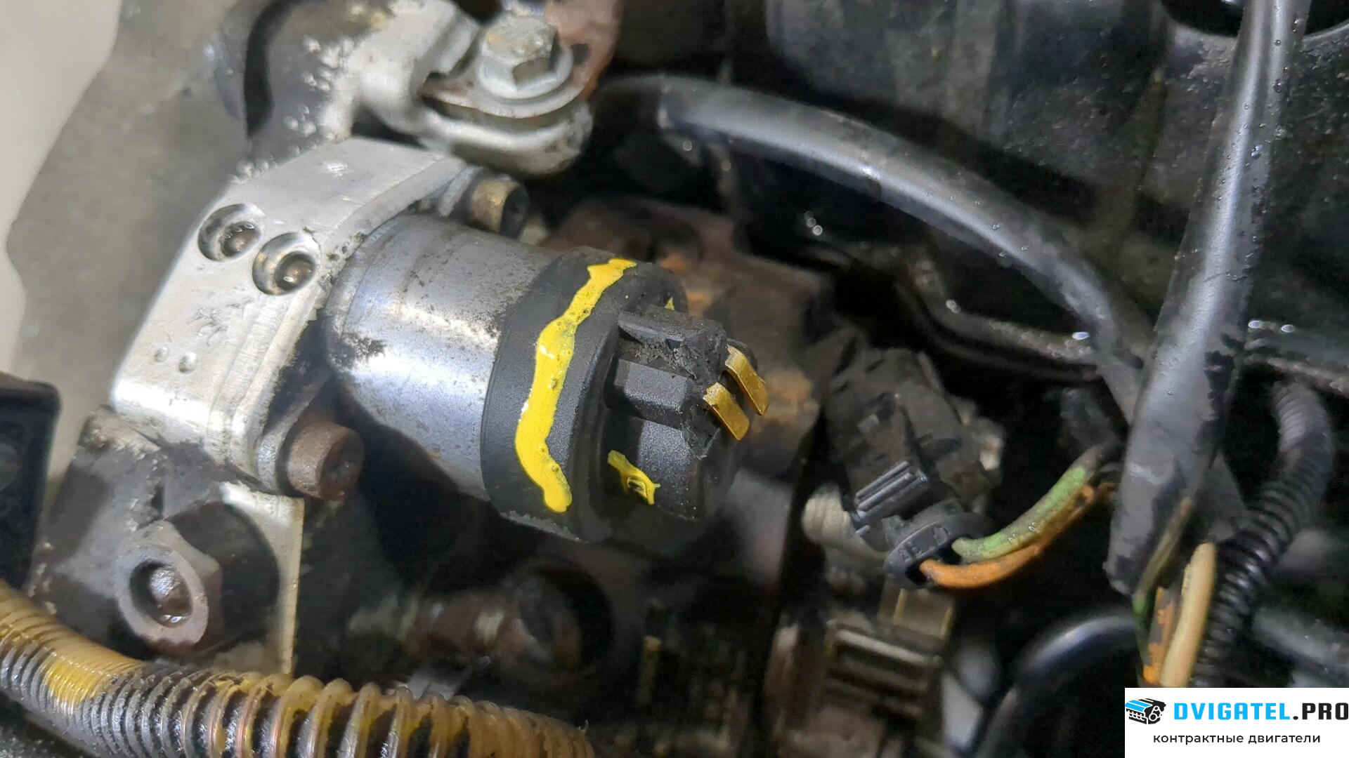 Двигатель Renault Megane 2 2002 - 2009 F9Q 804 1.9 л., Дизель, DCI, артикул 8835251
