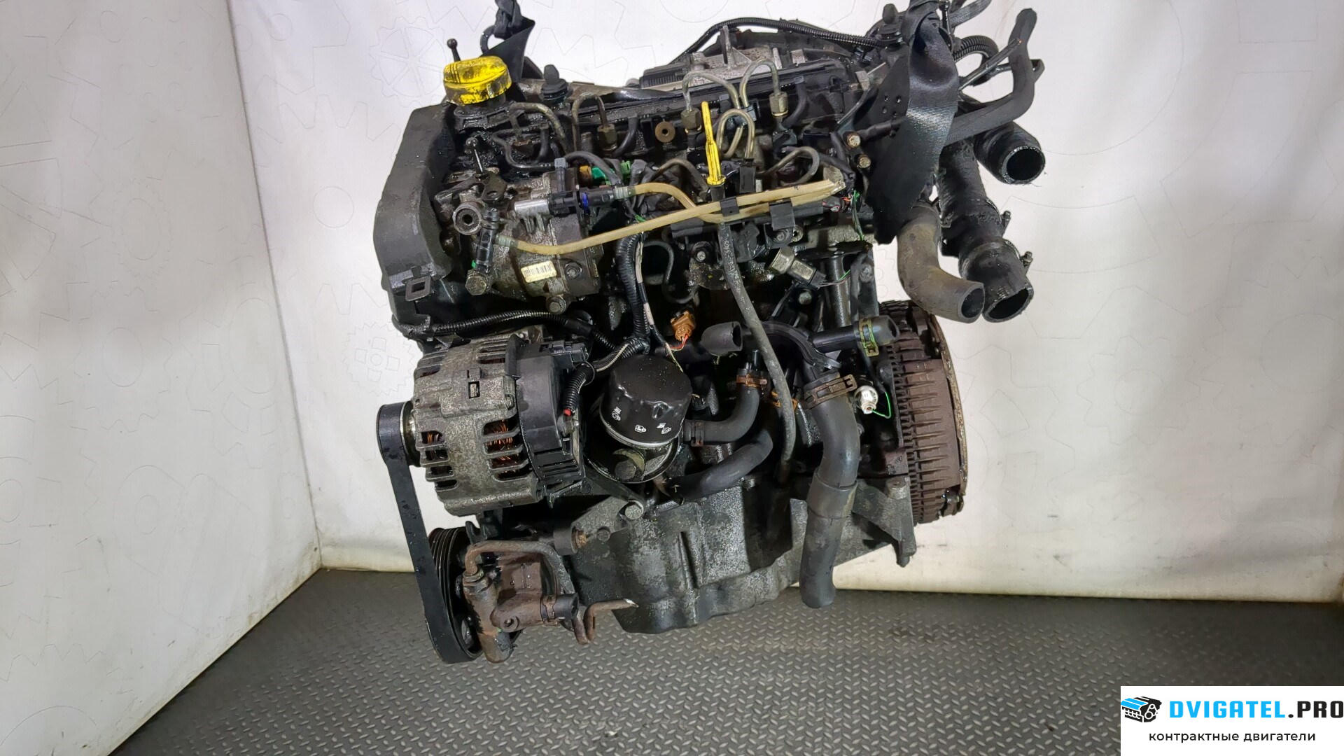 Двигатель Renault Kangoo 1998 - 2008 K9K 702 1.5 л., Дизель, DCI, артикул 8826418