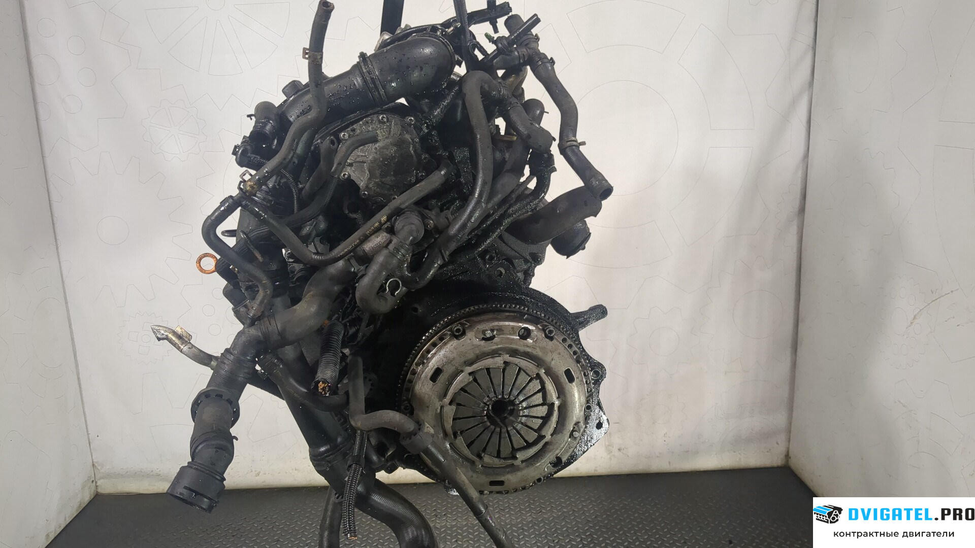 Двигатель Volkswagen Sharan 2000 - 2010 BVK 1.9 л., Дизель, TDI, артикул 8697038