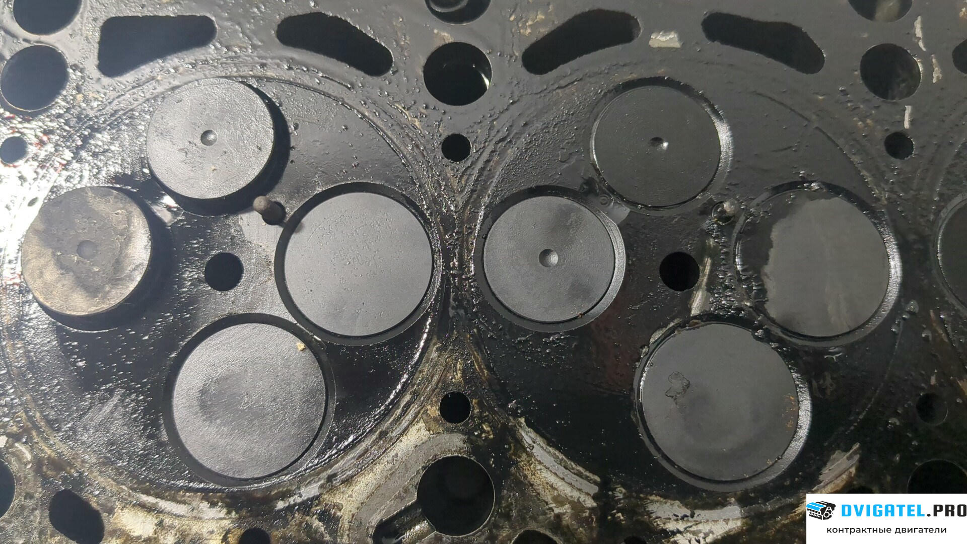 Головка блока цилиндров (ГБЦ) Audi A3 8P 2004 - 2008 BMN 2 л., Дизель, TDI, артикул 8721411