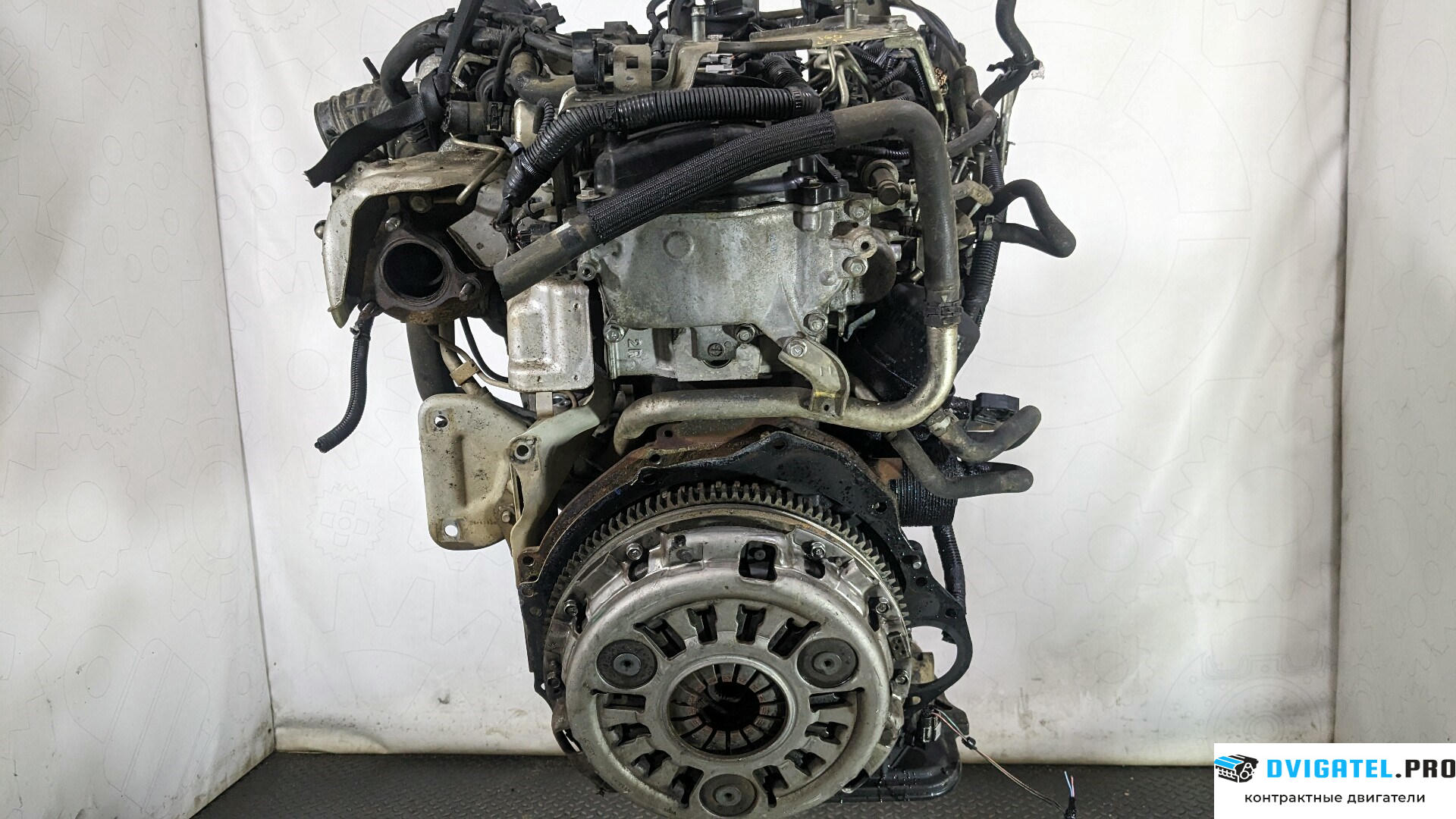 Двигатель Nissan Pathfinder 2004 - 2014 YD25DDTI 2.5 л., Дизель, DCI, артикул 8744421