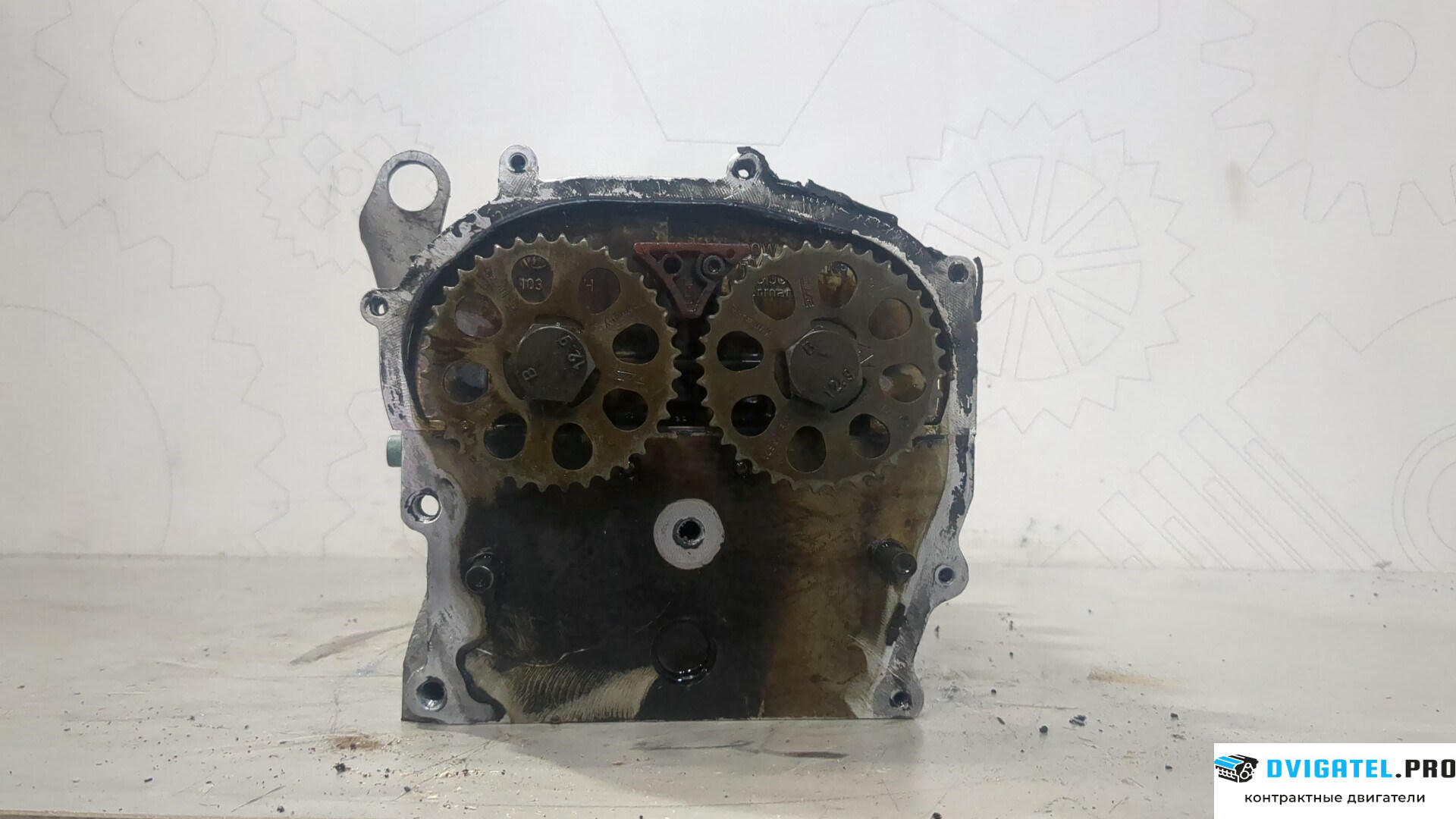 Головка блока цилиндров (ГБЦ) Volkswagen Polo 2001 - 2005 AZQ 1.2 л., Бензин, Инжектор, артикул 9212279