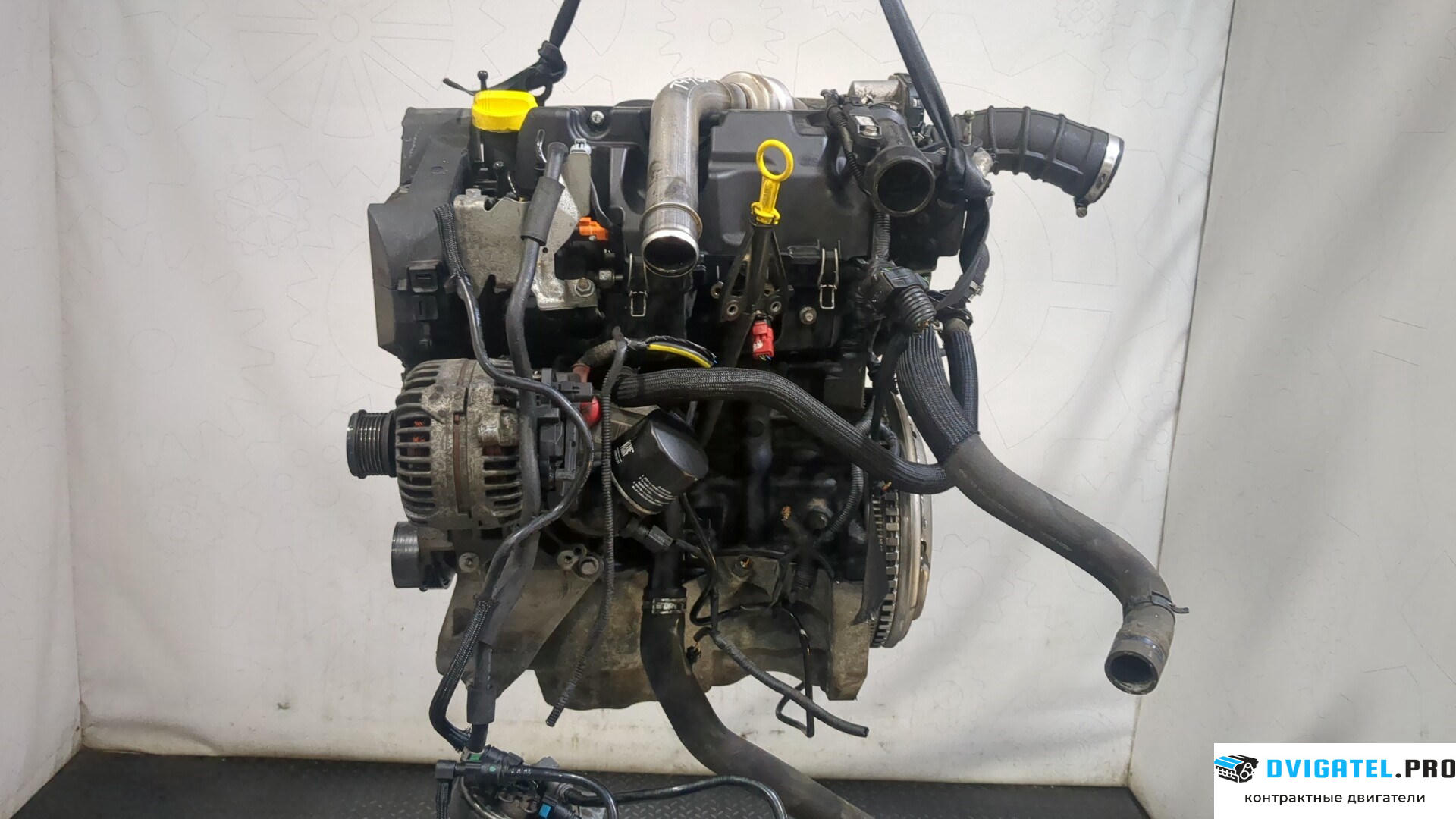 Двигатель Nissan Qashqai 2006 - 2013 K9K 1.5 л., Дизель, DCI, артикул 9278970