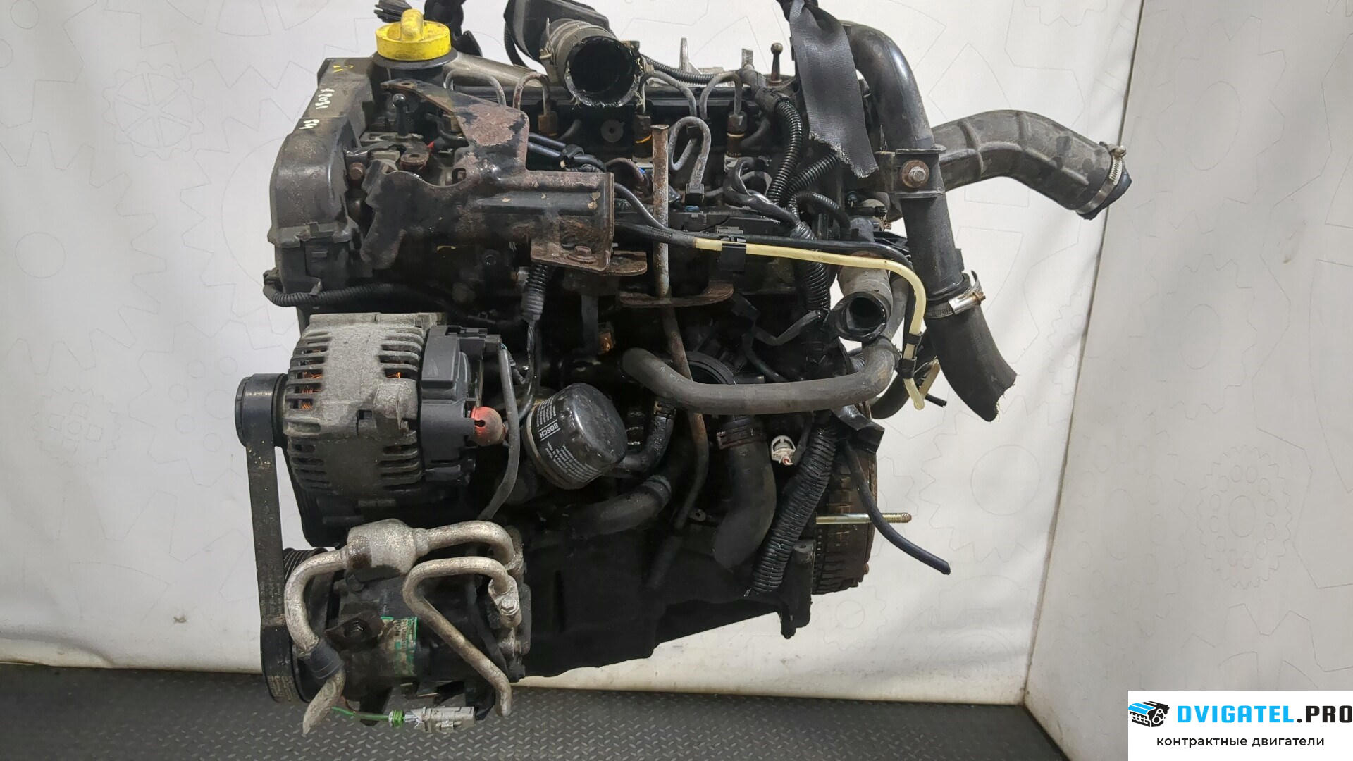 Двигатель Nissan Micra K12E 2003 - 2010 K9K 1.5 л., Дизель, DCI, артикул 8305324