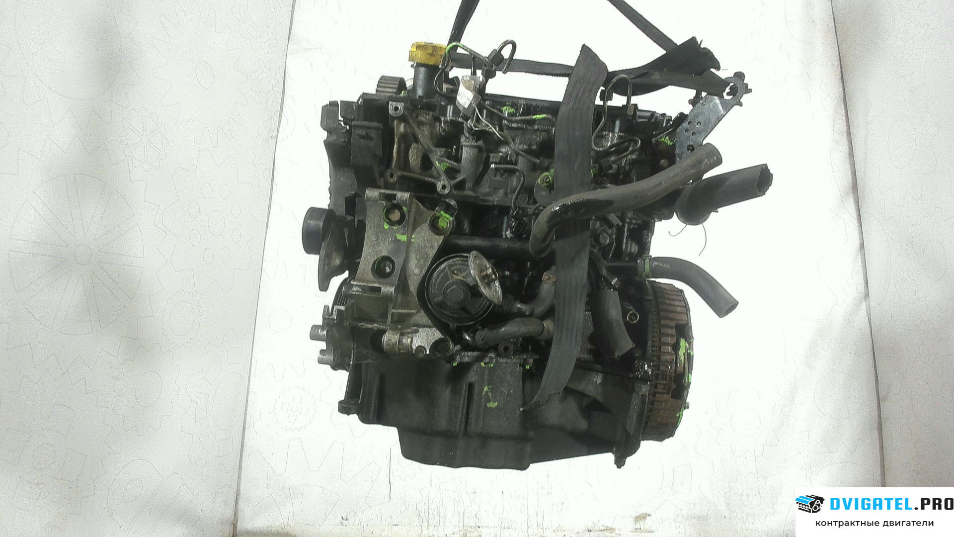 Двигатель Renault Kangoo 1998 - 2008 K9K 704 1.5 л., Дизель, DCI, артикул 6018629