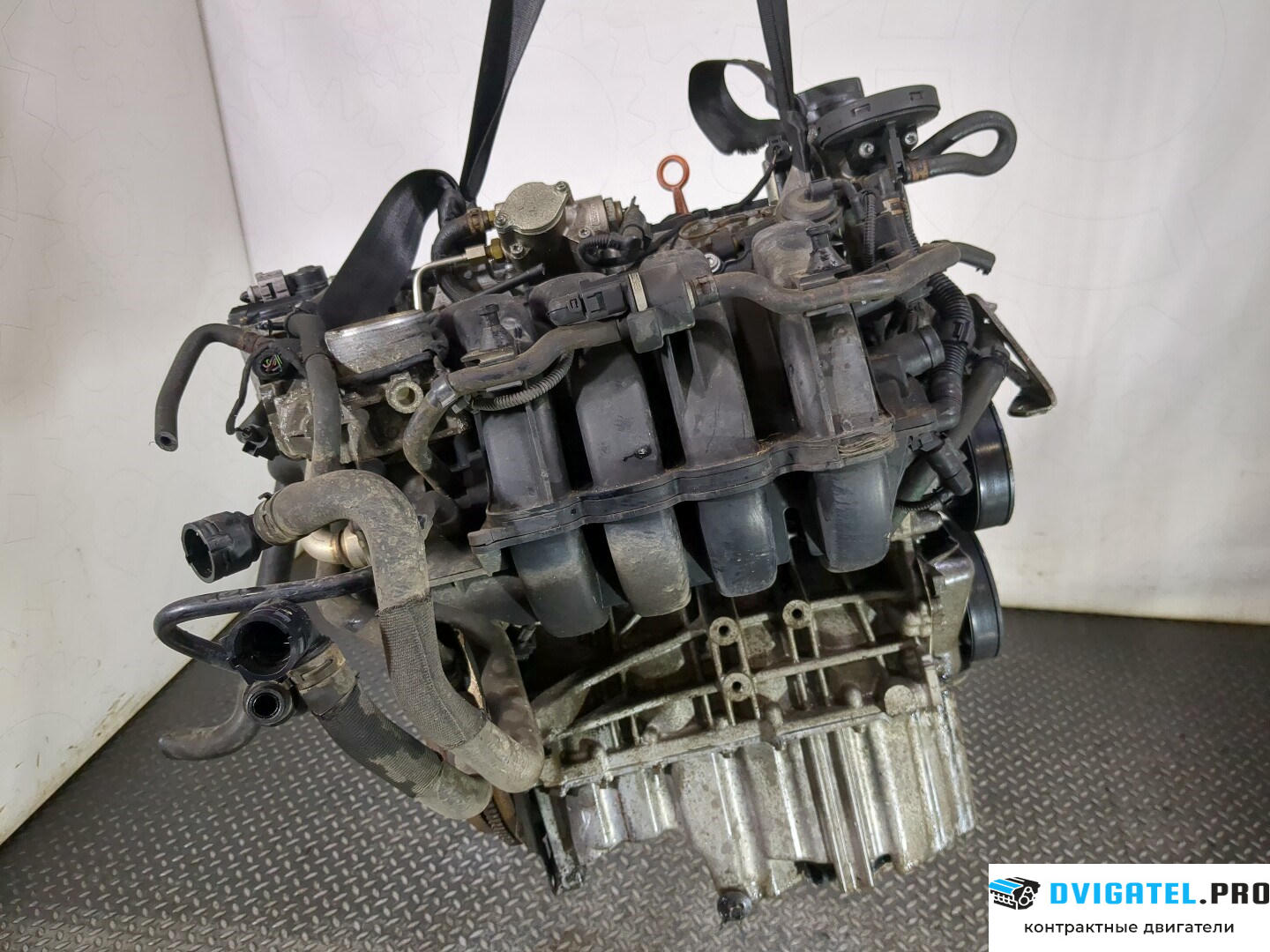 Двигатель Skoda Octavia A5 2004 - 2008 BLF 1.6 л., Бензин, FSI, артикул 8620923