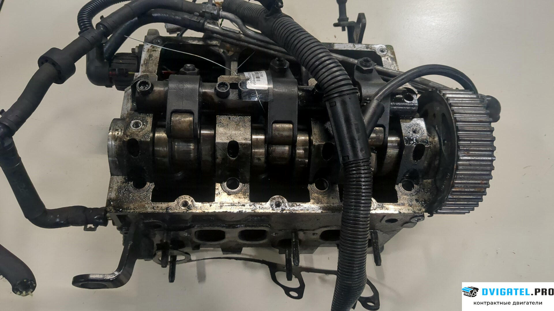 Головка блока цилиндров (ГБЦ) Volkswagen Polo 2001 - 2005 BAY 1.4 л., Дизель, TDI, артикул 8745776