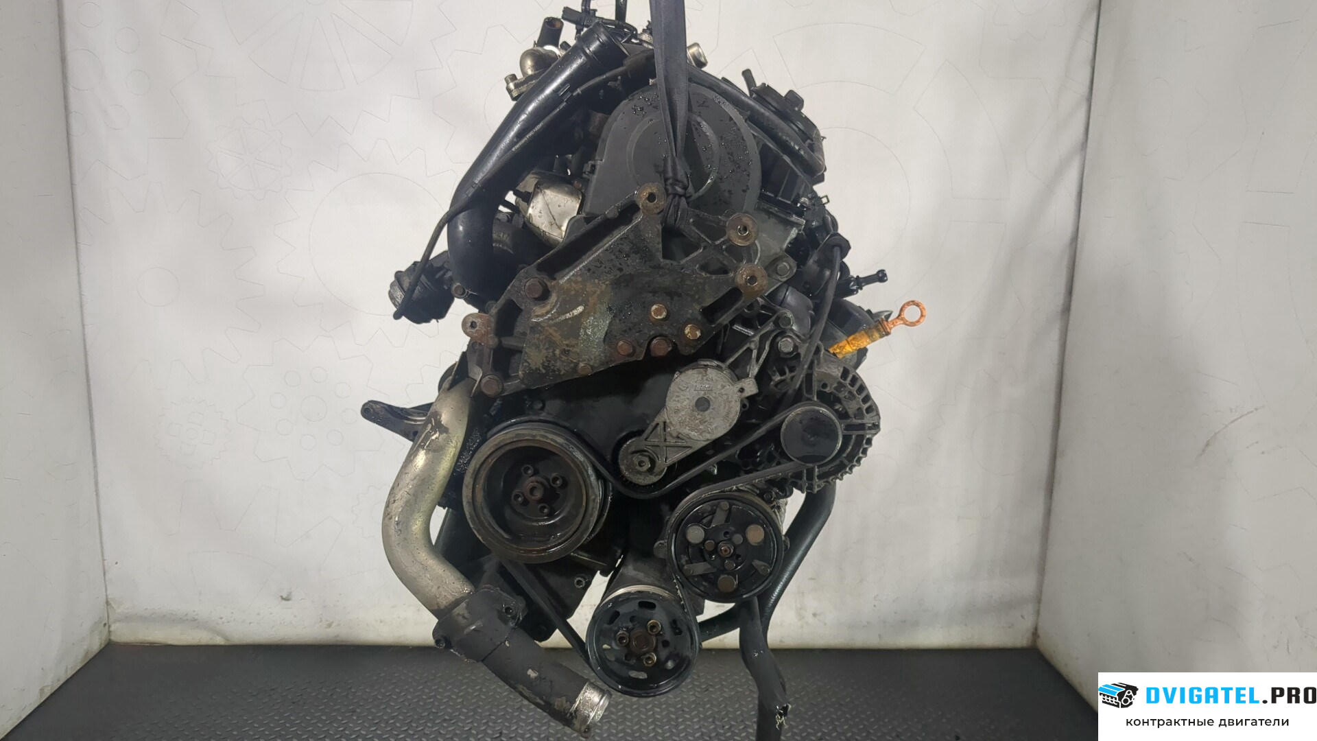 Двигатель Volkswagen Sharan 2000 - 2010 BVK 1.9 л., Дизель, TDI, артикул 8697038