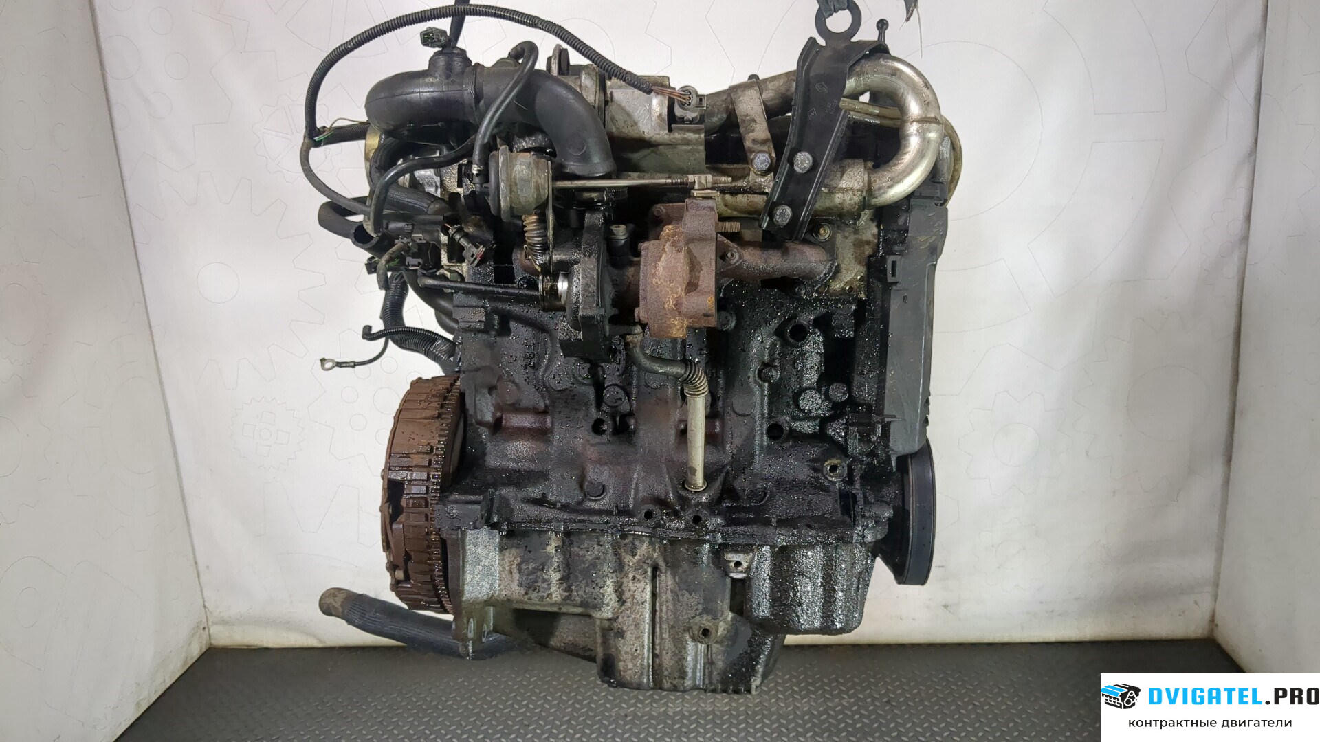 Двигатель Renault Kangoo 1998 - 2008 K9K 704 1.5 л., Дизель, DCI, артикул 8870995