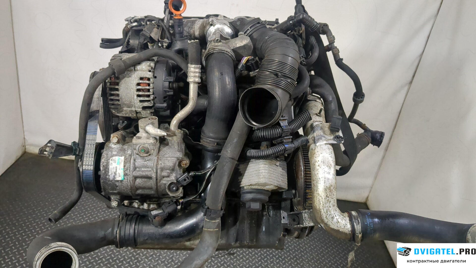 Двигатель Audi A3 8P 2004 - 2008 BMN 2 л., Дизель, TDI, артикул 8976245