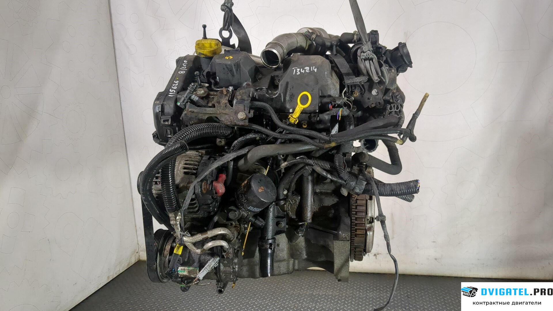 Двигатель Nissan Note E11 2006 - 2013 K9K 1.5 л., Дизель, DCI, артикул 8870318