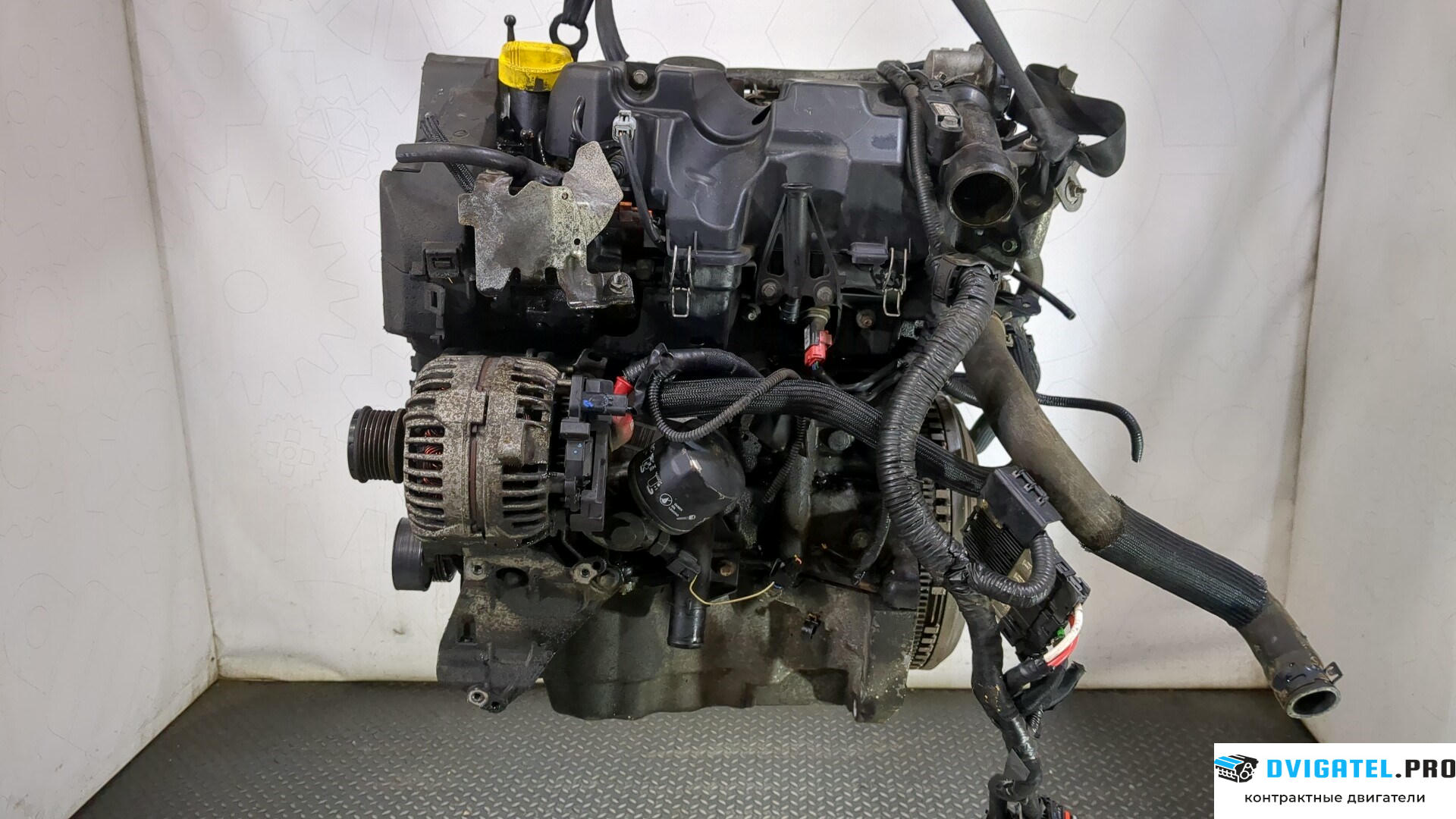 Двигатель Nissan Qashqai 2006 - 2013 K9K 1.5 л., Дизель, DCI, артикул 9259338