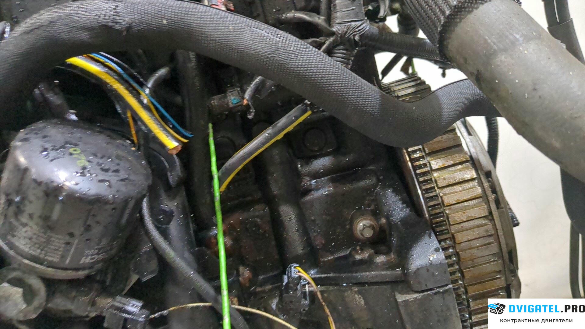 Двигатель Nissan Qashqai 2006 - 2013 K9K 1.5 л., Дизель, DCI, артикул 8412043