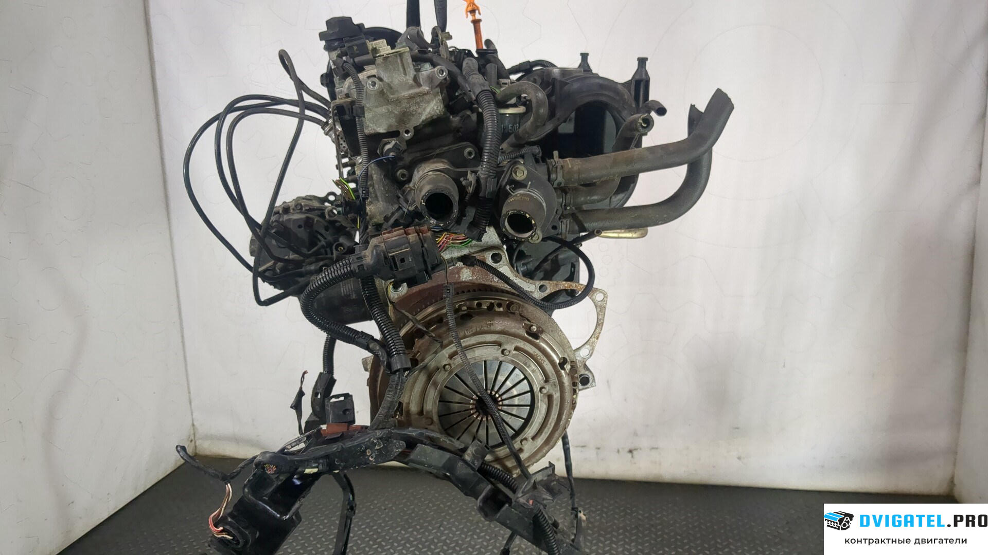 Двигатель Volkswagen Lupo AUC 1 л., Бензин, Инжектор, артикул 9023104