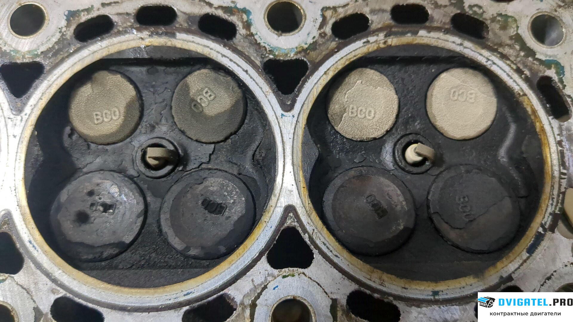 Головка блока цилиндров (ГБЦ) Nissan Micra K12E 2003 - 2010 CR12DE 1.2 л., Бензин, Инжектор, артикул 8905498