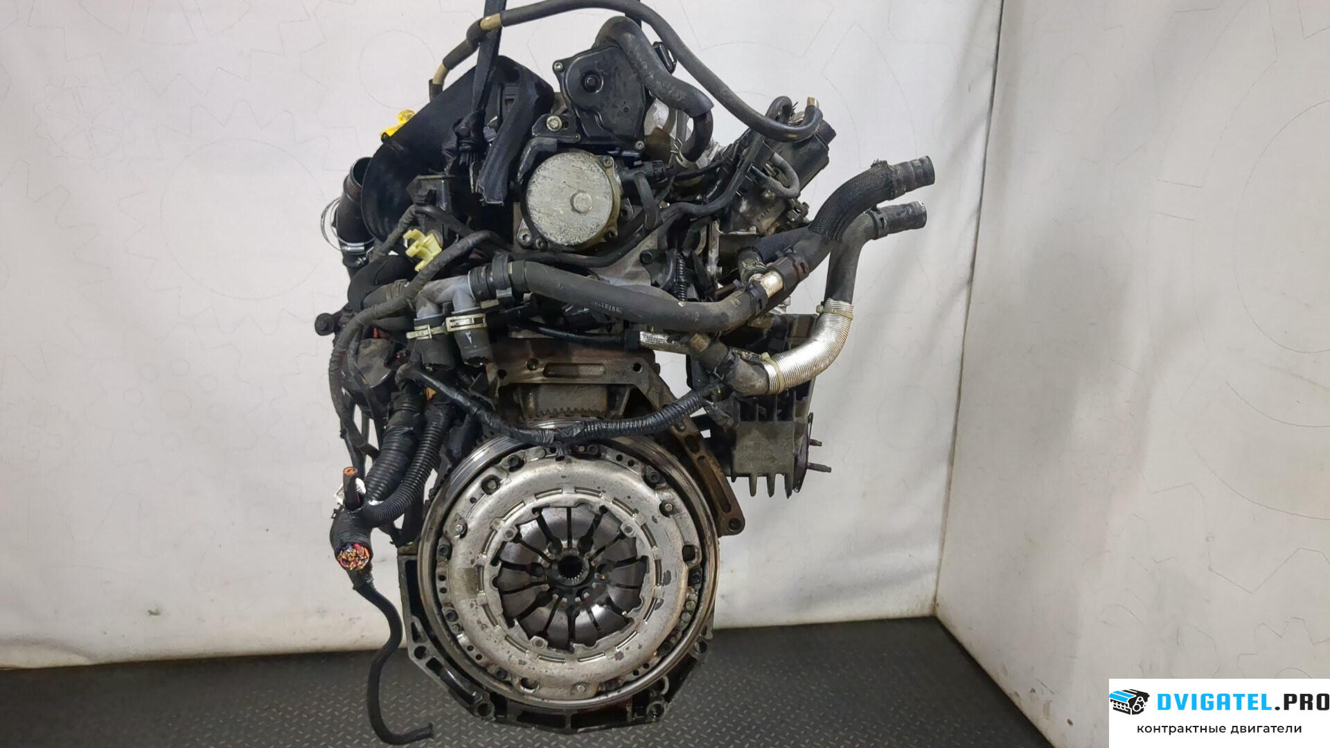 Двигатель Nissan Juke 2010 - 2014 K9K 1.5 л., Дизель, DCI, артикул 9233325