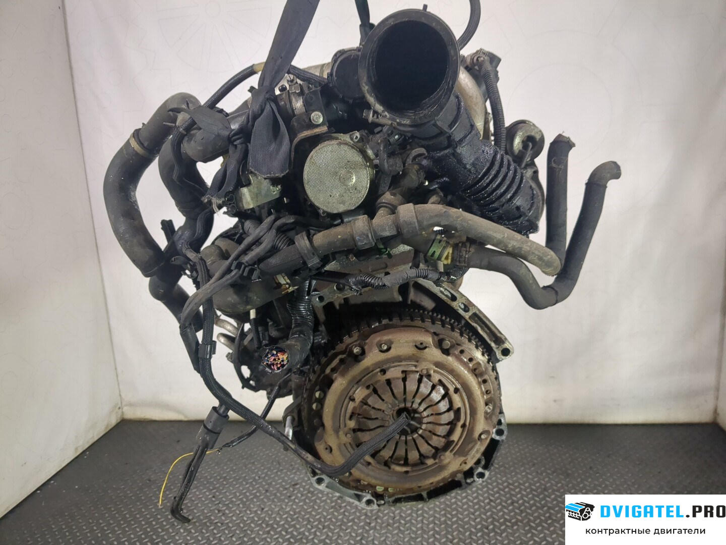 Двигатель Nissan Note E11 2006 - 2013 K9K 1.5 л., Дизель, DCI, артикул 8787562
