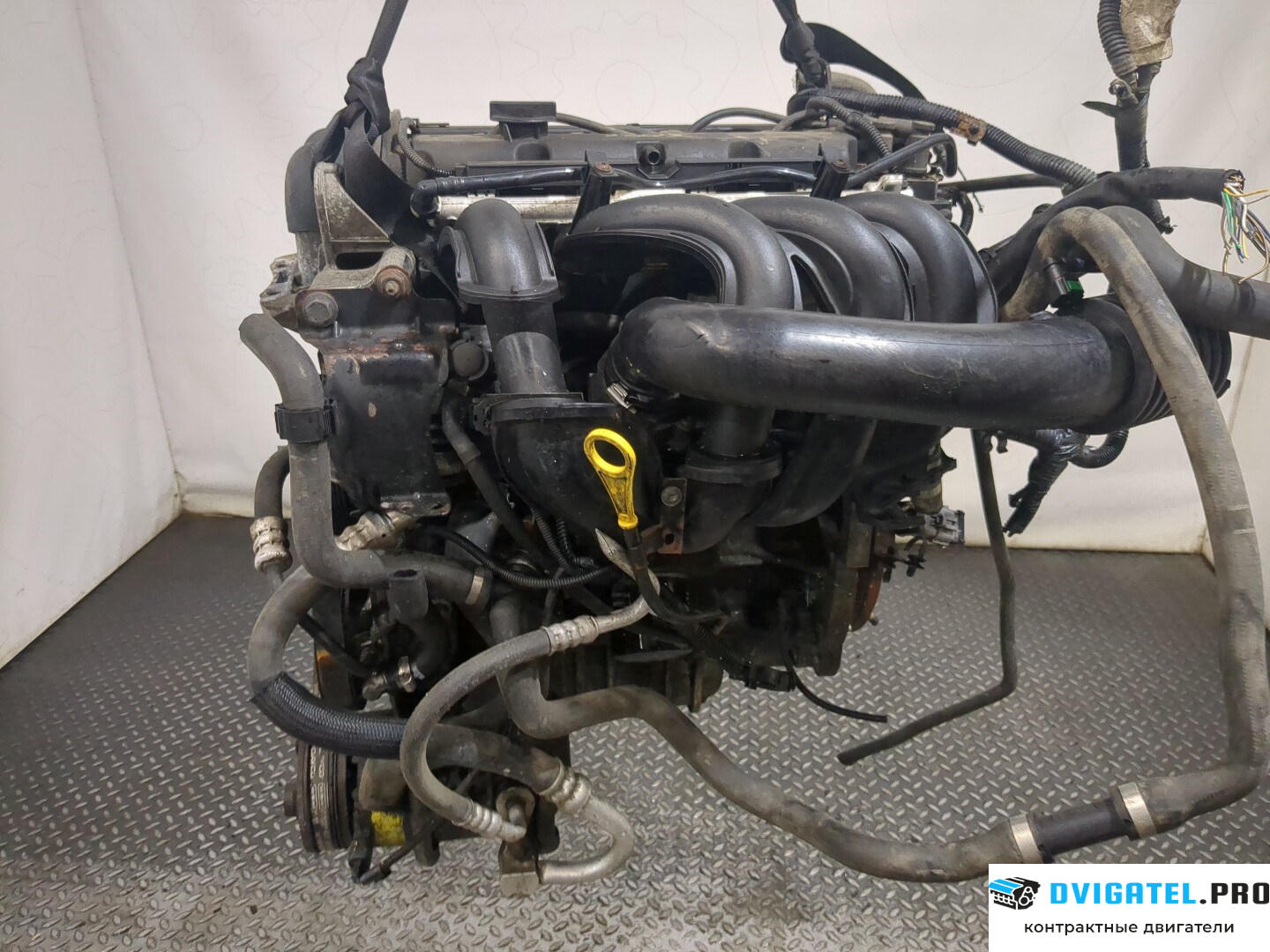 Двигатель Ford Focus 2 2005 - 2008 HWDA, HWDB 1.6 л., Бензин, Инжектор, артикул 8408767