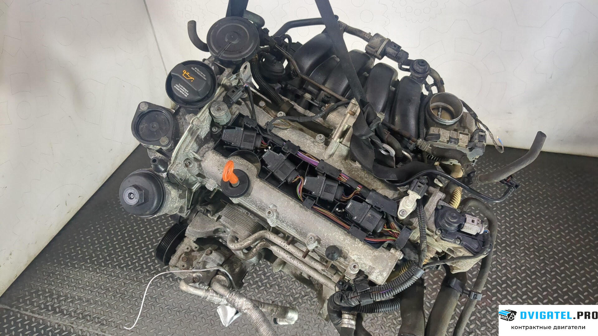 Двигатель Volkswagen Golf 5 2003 - 2009 BLF 1.6 л., Бензин, FSI, артикул 8948818