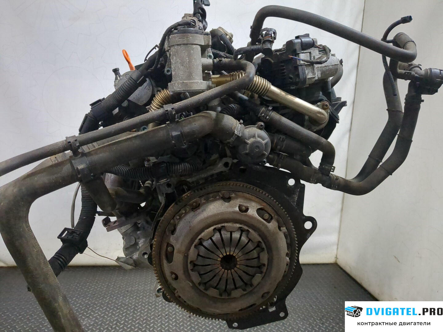 Двигатель Volkswagen Touran 2003 - 2006 BLF 1.6 л., Бензин, FSI, артикул 8387735