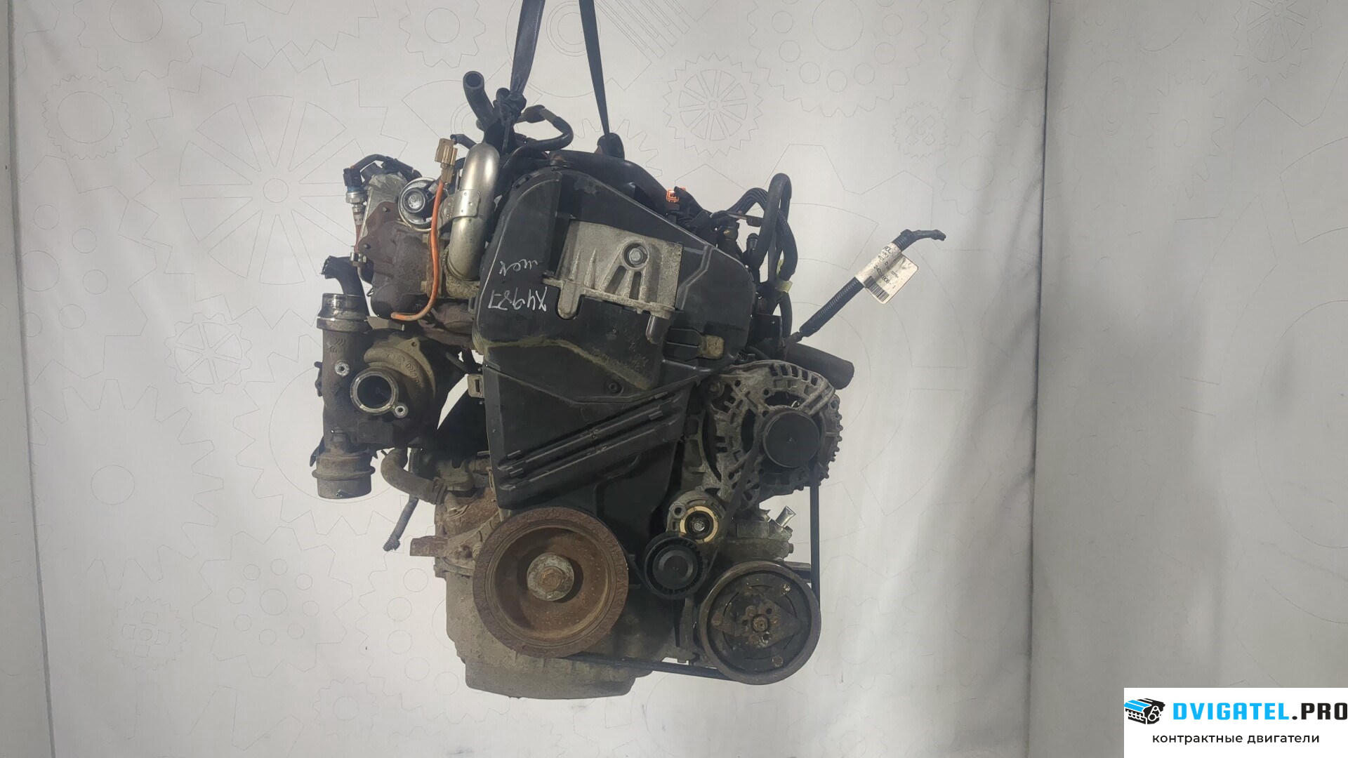 Двигатель Nissan Juke 2010 - 2014 K9K 1.5 л., Дизель, DCI, артикул 8996513