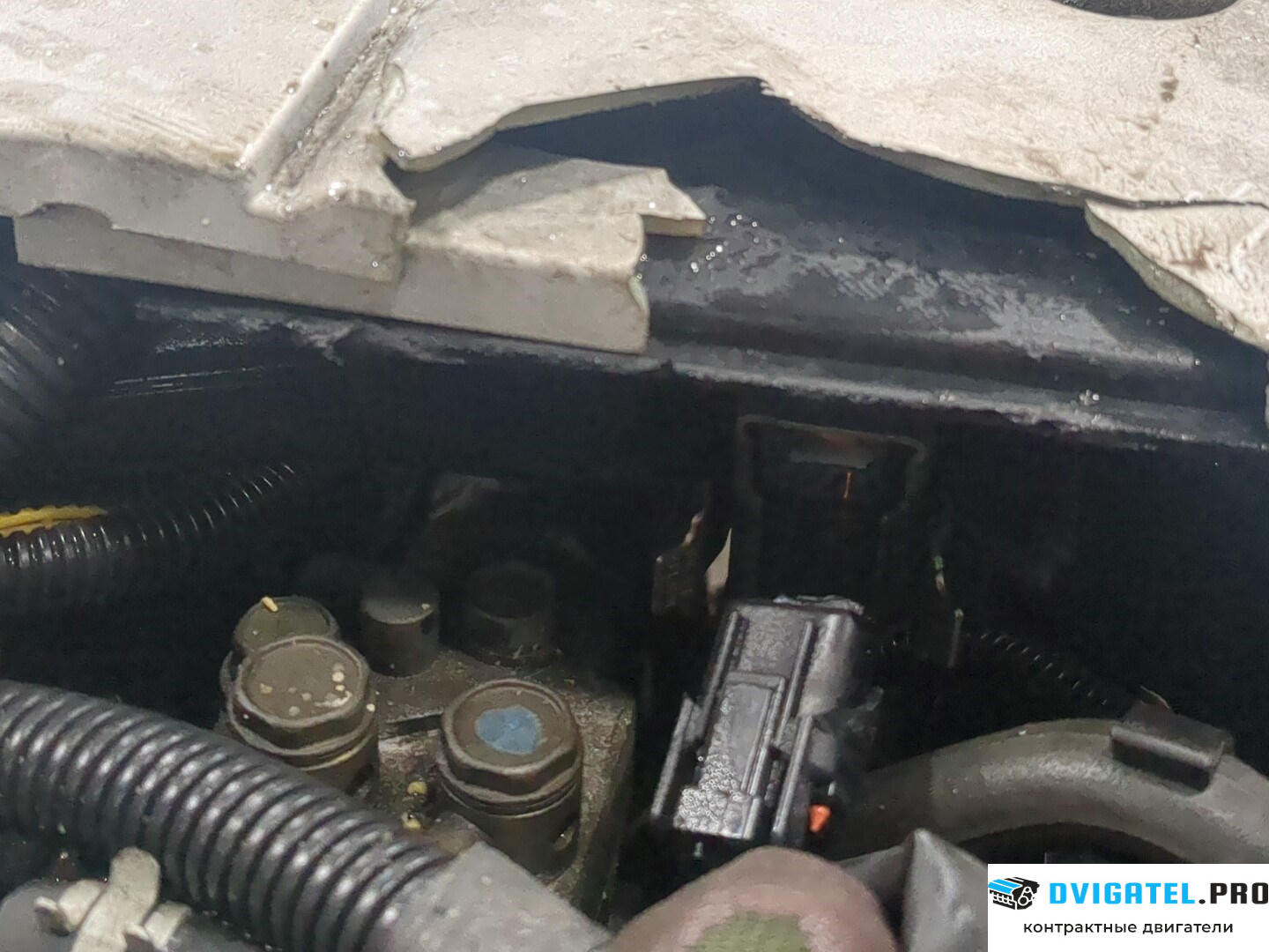 Двигатель Volvo S40 / V40 1995 - 2004 B4184SJ 1.8 л., Бензин, Инжектор, артикул 8686257