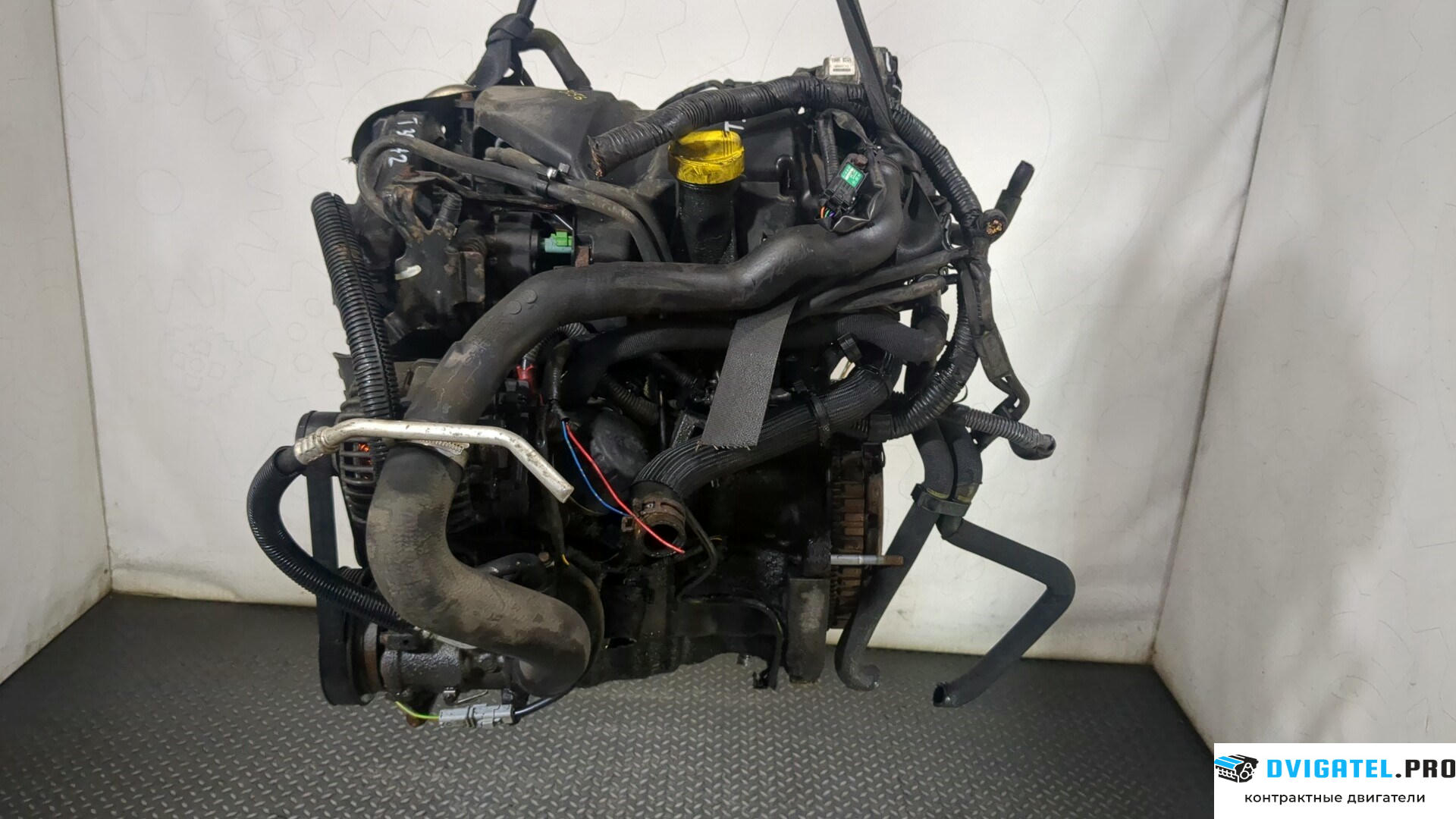 Двигатель Nissan Note E11 2006 - 2013 K9K 1.5 л., Дизель, DCI, артикул 8865801
