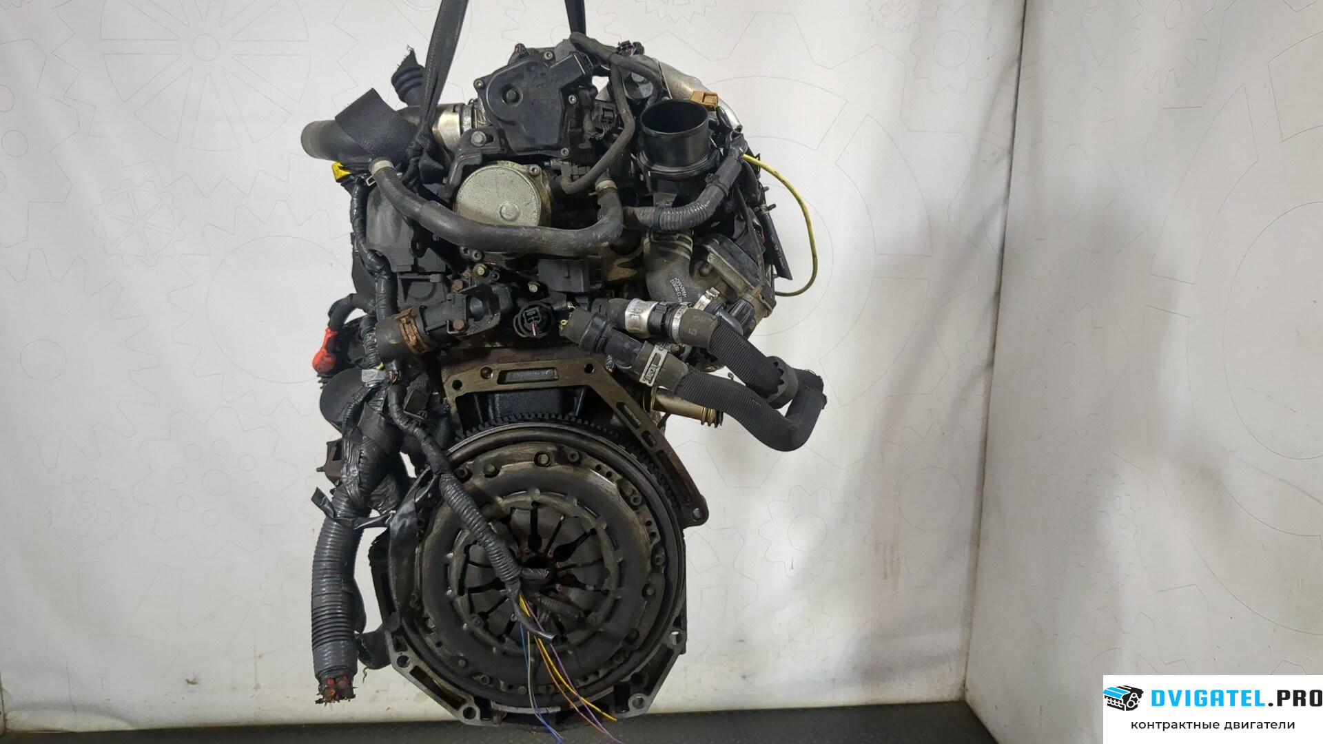 Двигатель Nissan Juke 2010 - 2014 K9K 1.5 л., Дизель, DCI, артикул 9048593