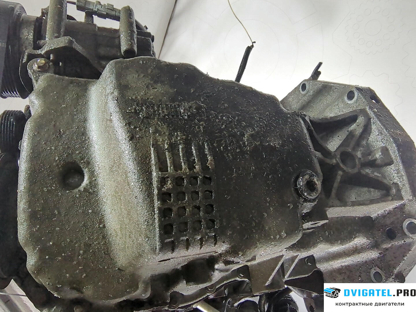 Двигатель Nissan Note E11 2006 - 2013 K9K 1.5 л., Дизель, DCI, артикул 8787562