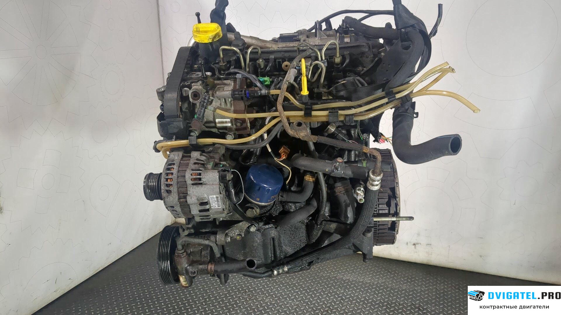 Двигатель Renault Kangoo 1998 - 2008 K9K 704 1.5 л., Дизель, DCI, артикул 8948659