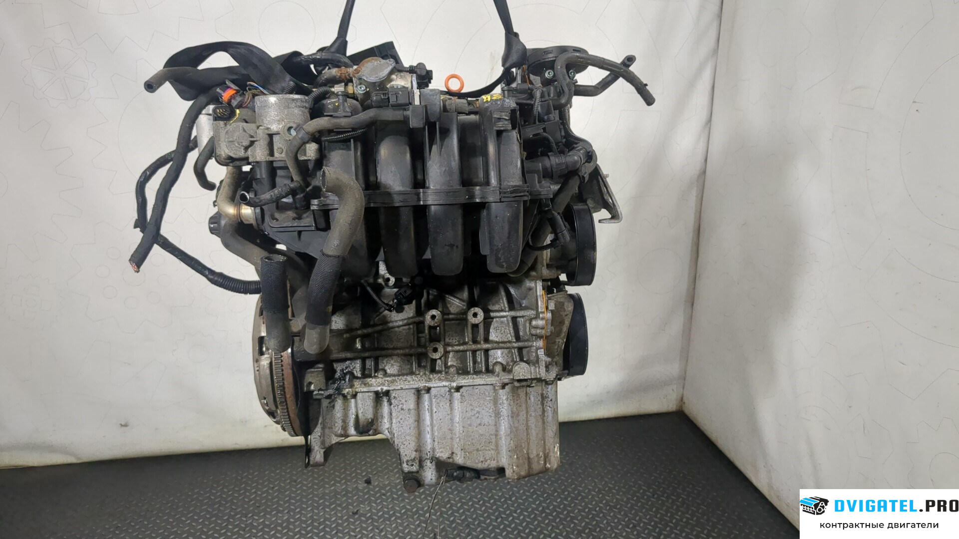 Двигатель Volkswagen Golf 5 2003 - 2009 BLF 1.6 л., Бензин, FSI, артикул 8836049