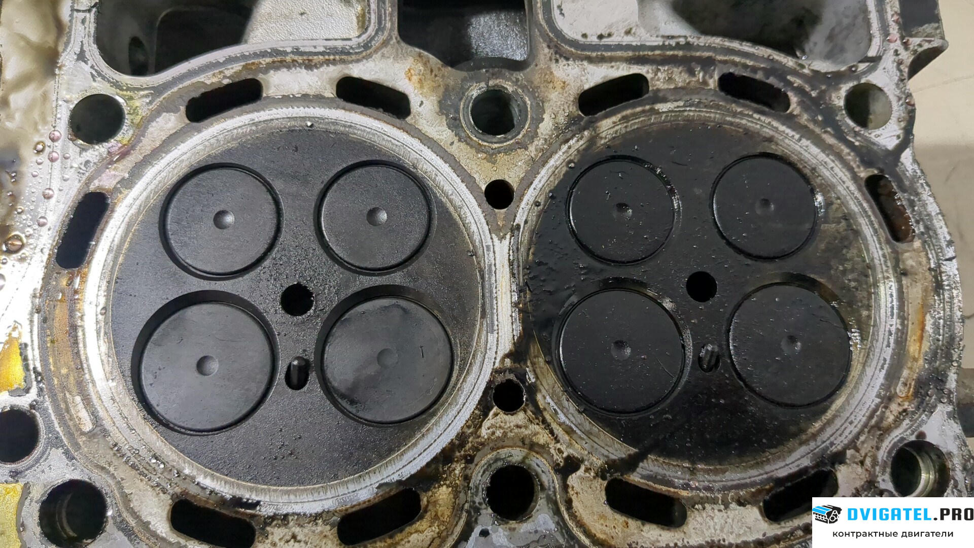 Головка блока цилиндров (ГБЦ) Subaru Legacy Outback B13 2003 - 2009 EE20Z 2 л., Дизель, Турбо, артикул 8964357