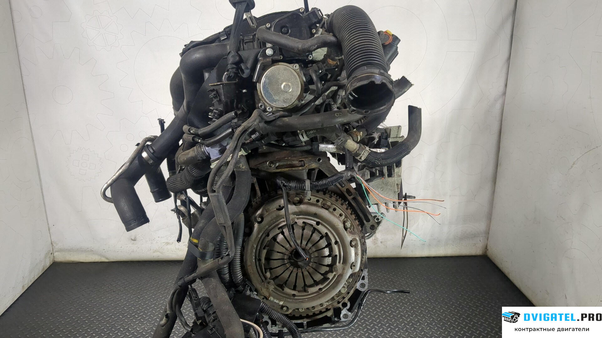 Двигатель Nissan Note E11 2006 - 2013 K9K 1.5 л., Дизель, DCI, артикул 8772436