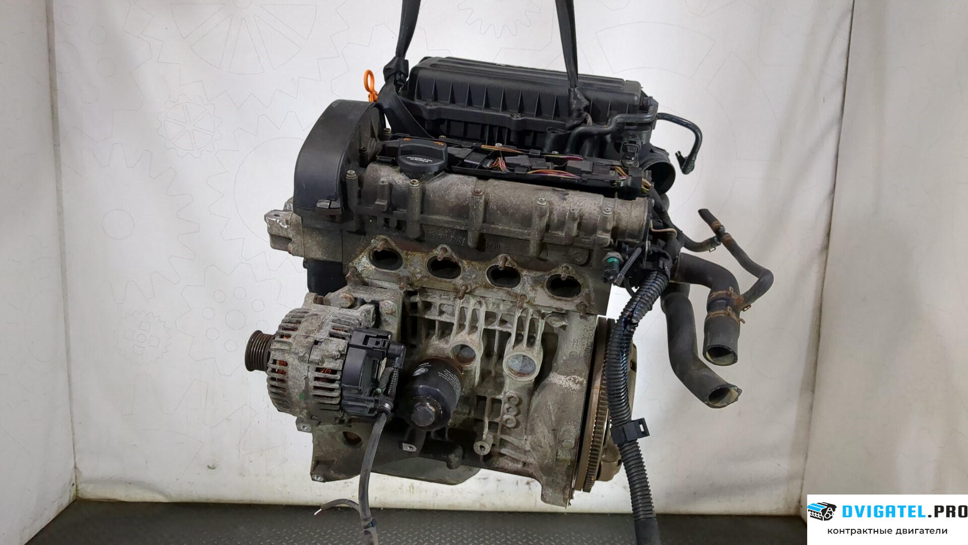 Двигатель Volkswagen Golf 5 2003 - 2009 BUD 1.4 л., Бензин, Инжектор, артикул 9259782