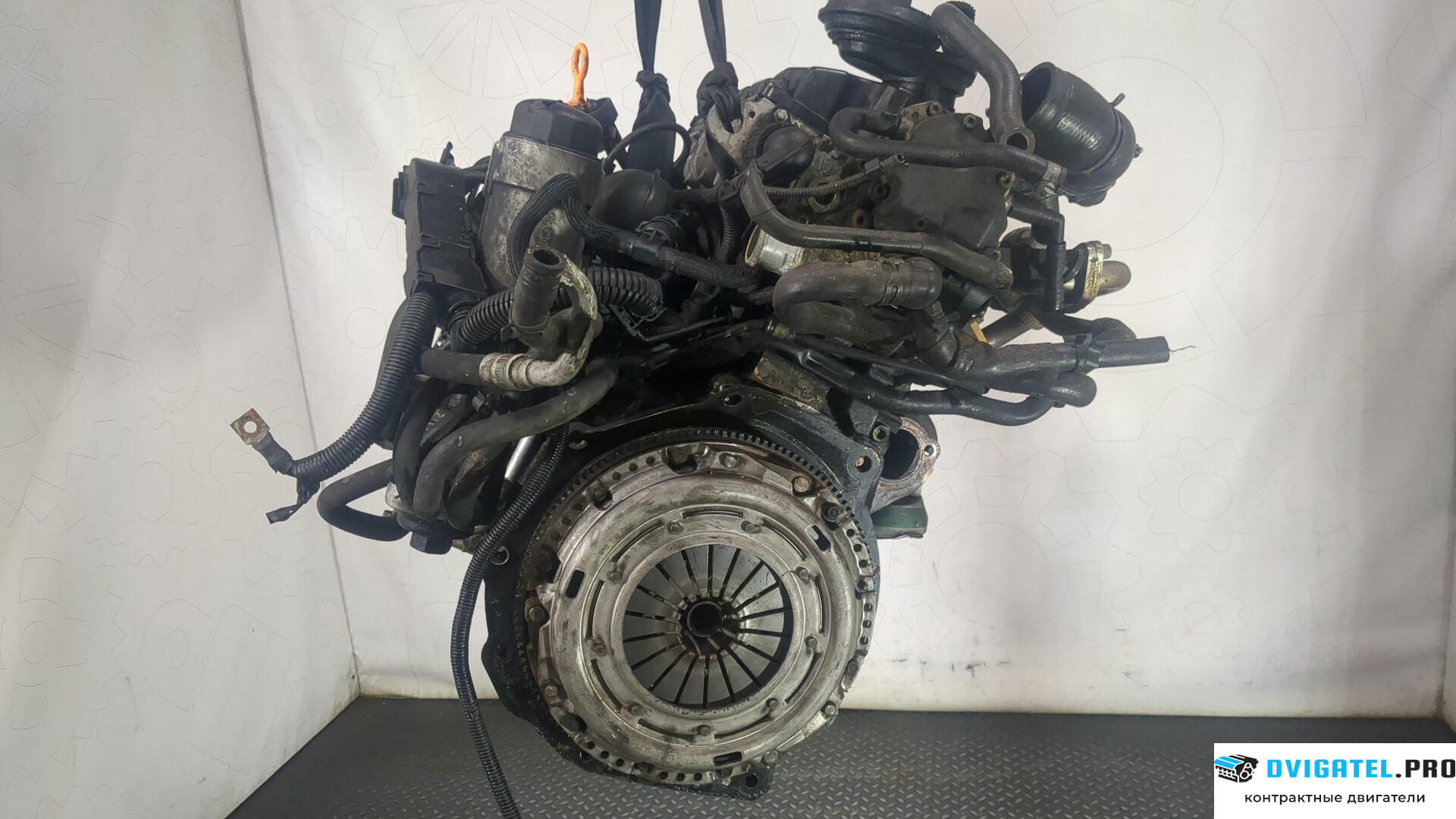 Двигатель Ford Galaxy 2000 - 2006 AUY 1.9 л., Дизель, TDI, артикул 8904117