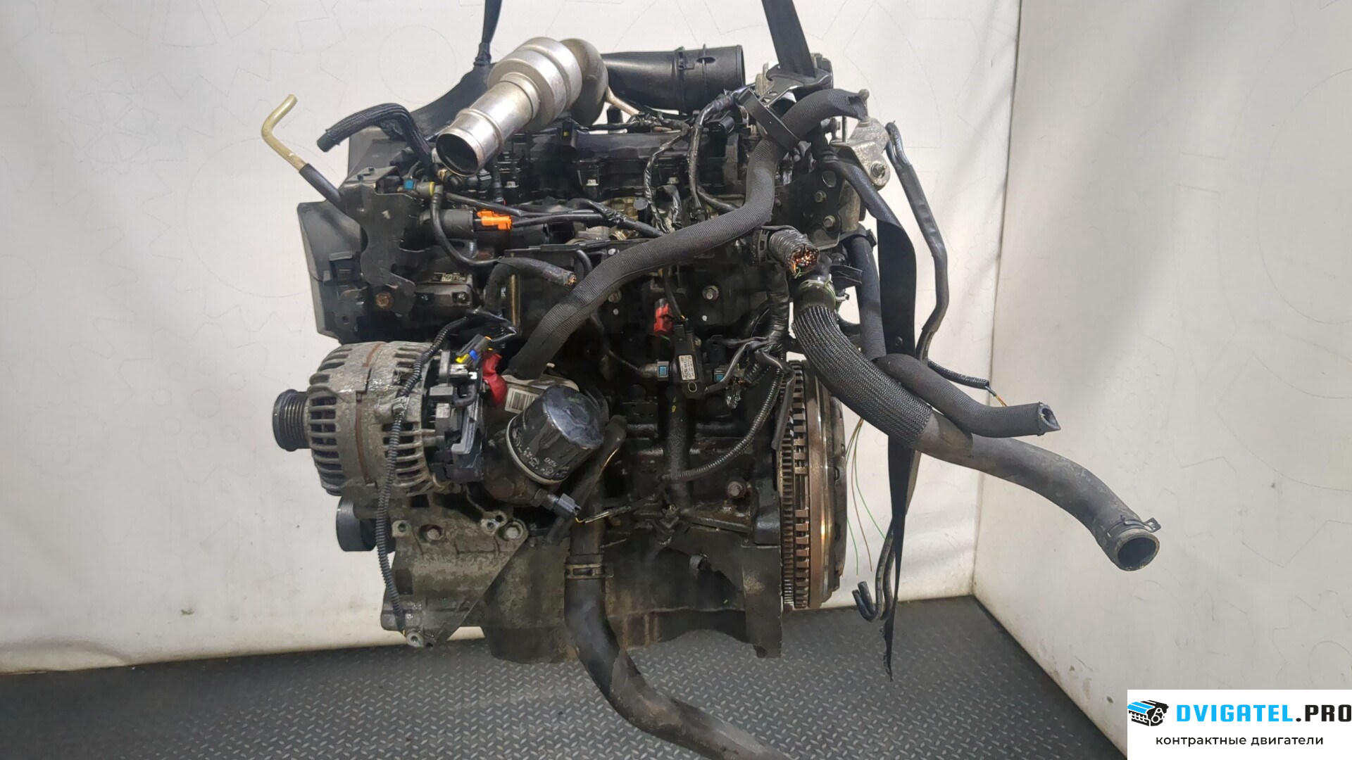 Двигатель Nissan Qashqai 2006 - 2013 K9K 1.5 л., Дизель, DCI, артикул 9278829