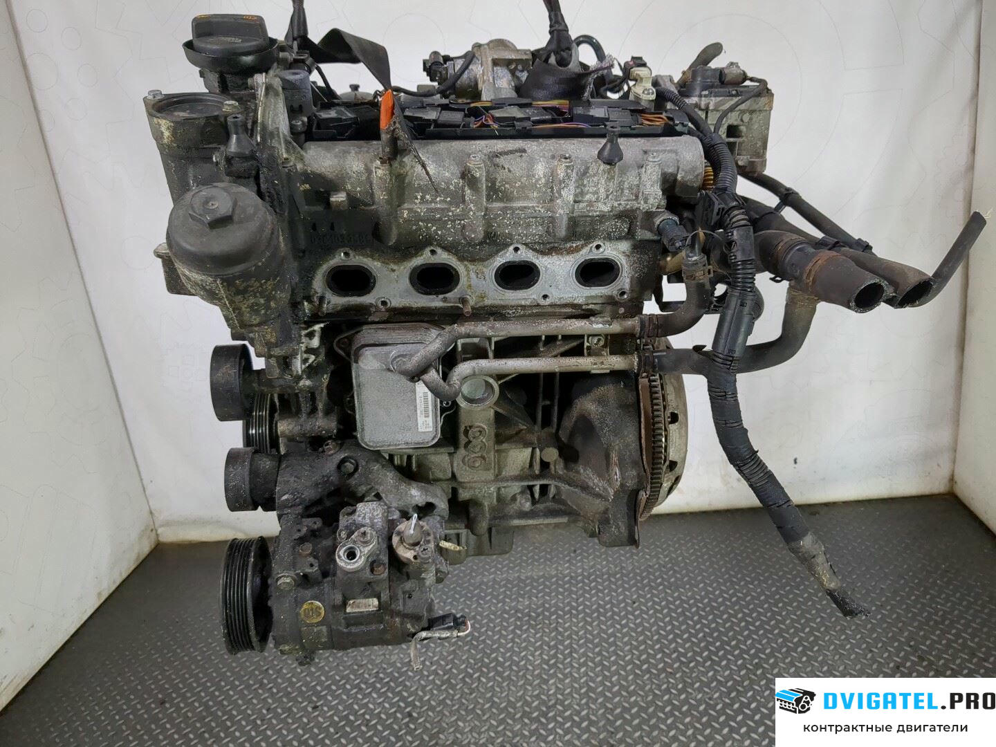 Двигатель Volkswagen Jetta 5 2004 - 2010 BLF 1.6 л., Бензин, FSI, артикул 8689979