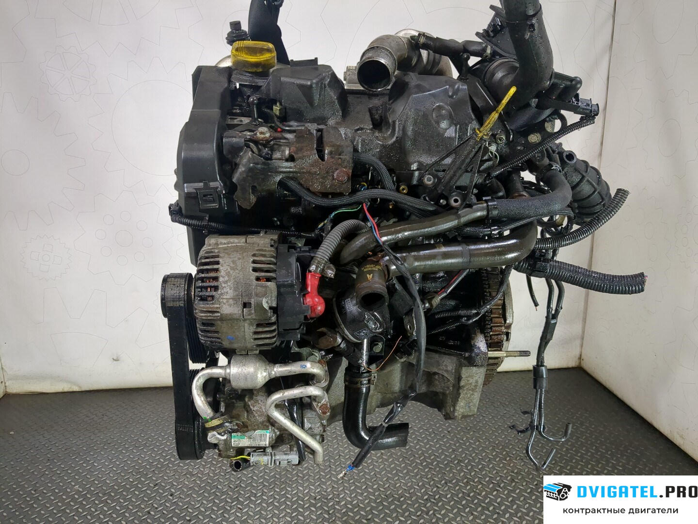 Двигатель Nissan Micra K12E 2003 - 2010 K9K 1.5 л., Дизель, DCI, артикул 8543143