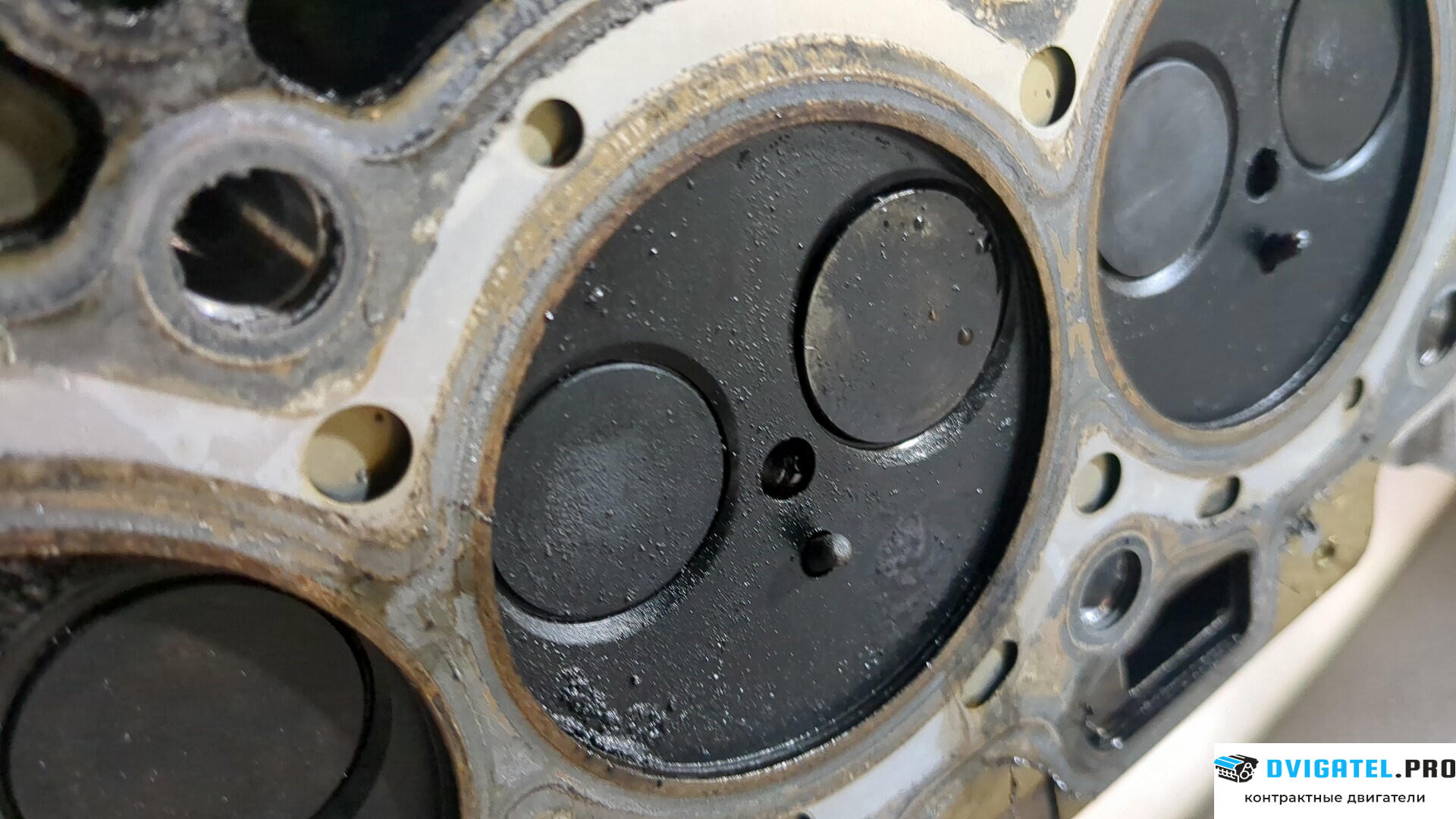 Головка блока цилиндров (ГБЦ) Ford Focus 3 2014 - 2019 XWDB 1.5 л., Дизель, TDCI, артикул 8896179