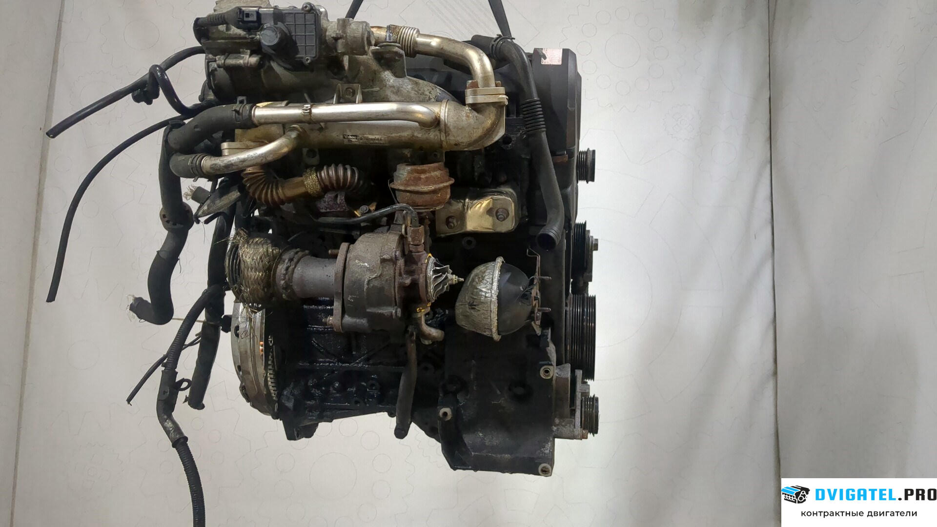 Двигатель Volkswagen Passat 5 2000 - 2005 BGW 2 л., Дизель, TDI, артикул 9251440